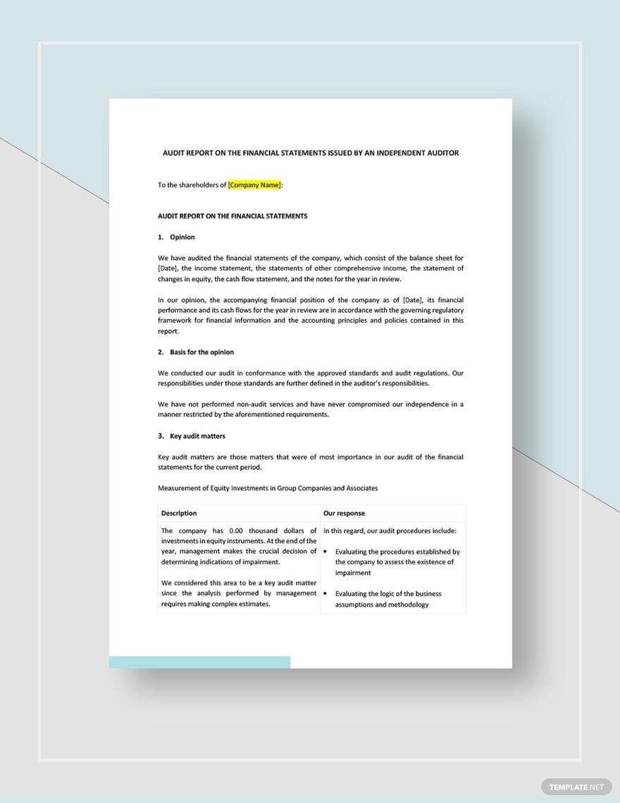 Private Company Audit Report Sample Template