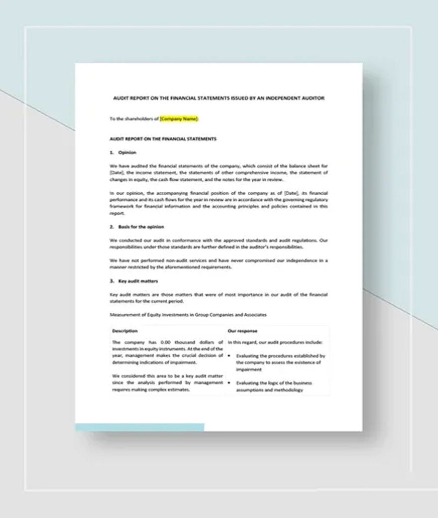 Private Company Audit Report Sample Template