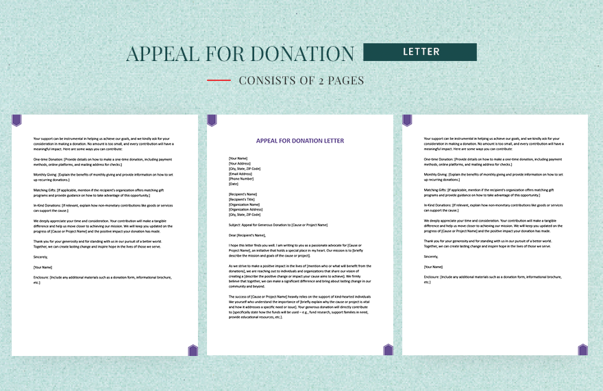 Appeal For Donation Letter in Word, Google Docs, Apple Pages
