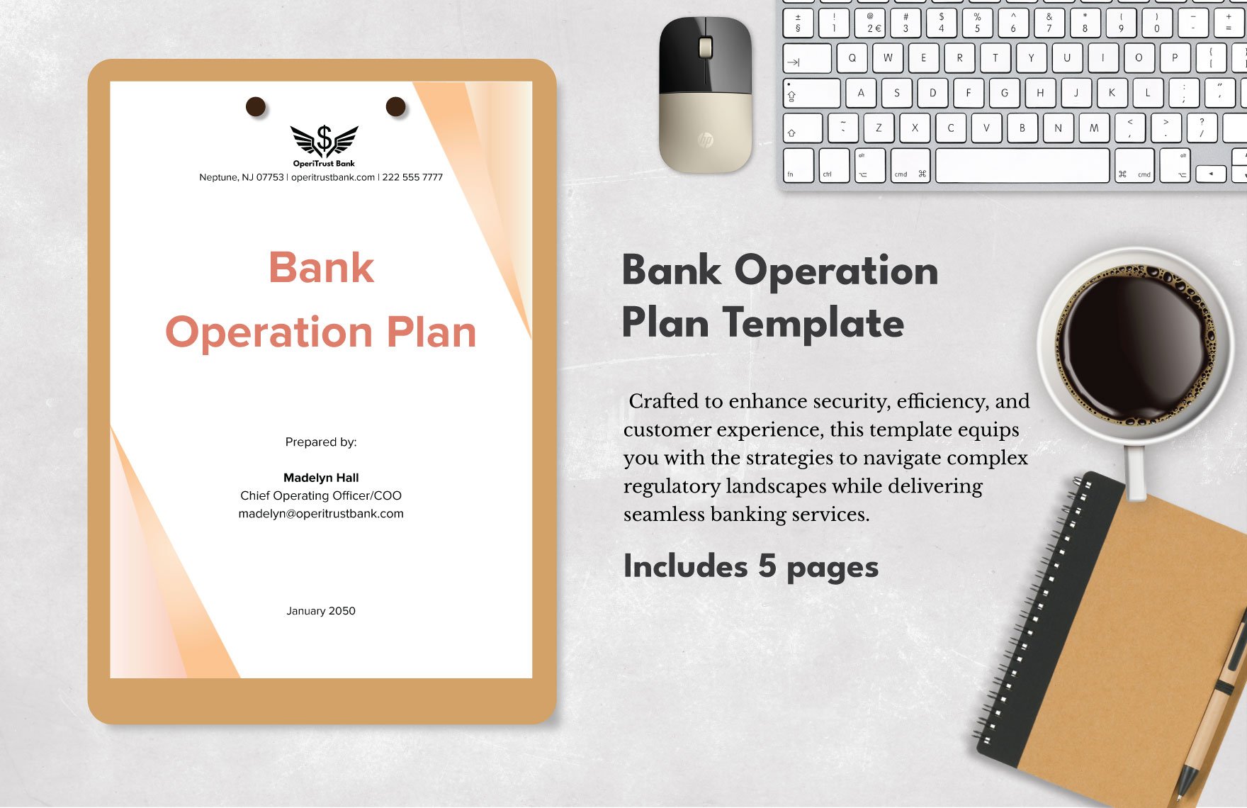 Bank Operation Plan Template