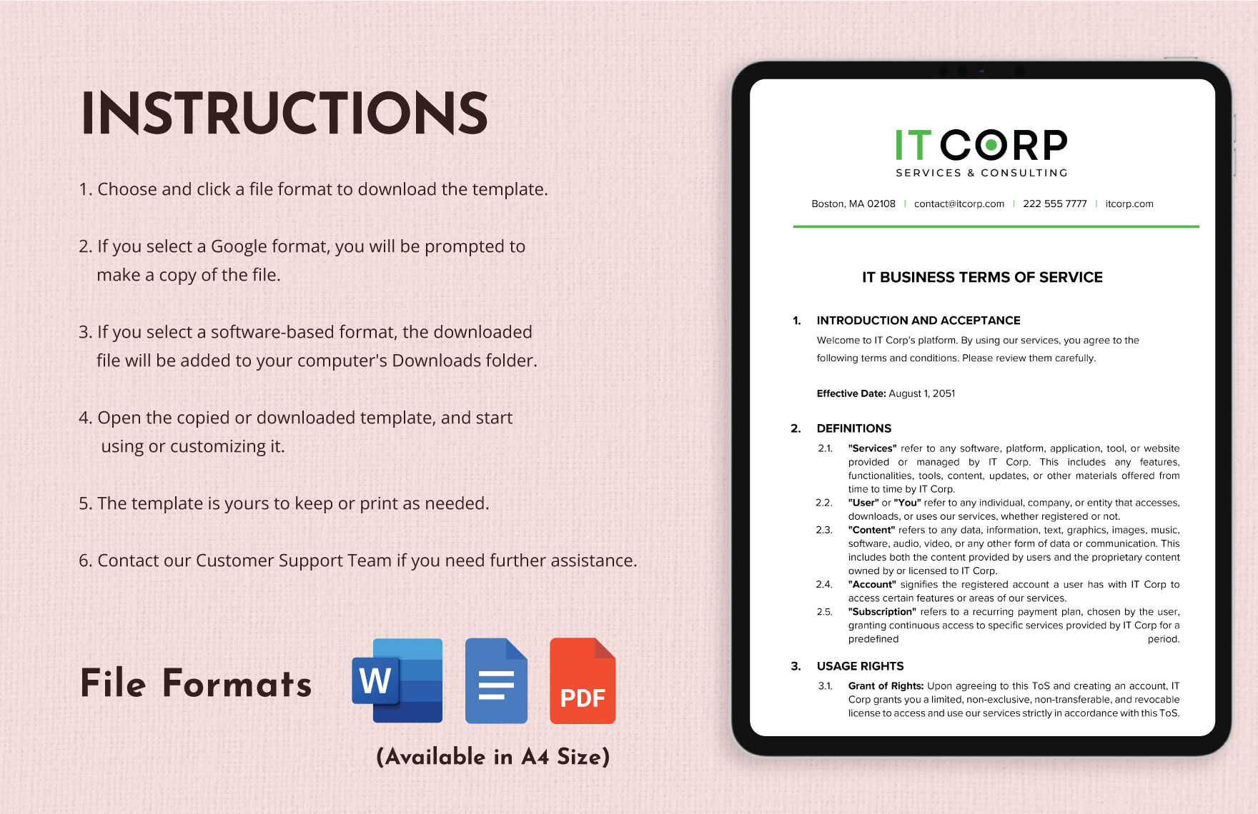 IT Business Terms of Service Template