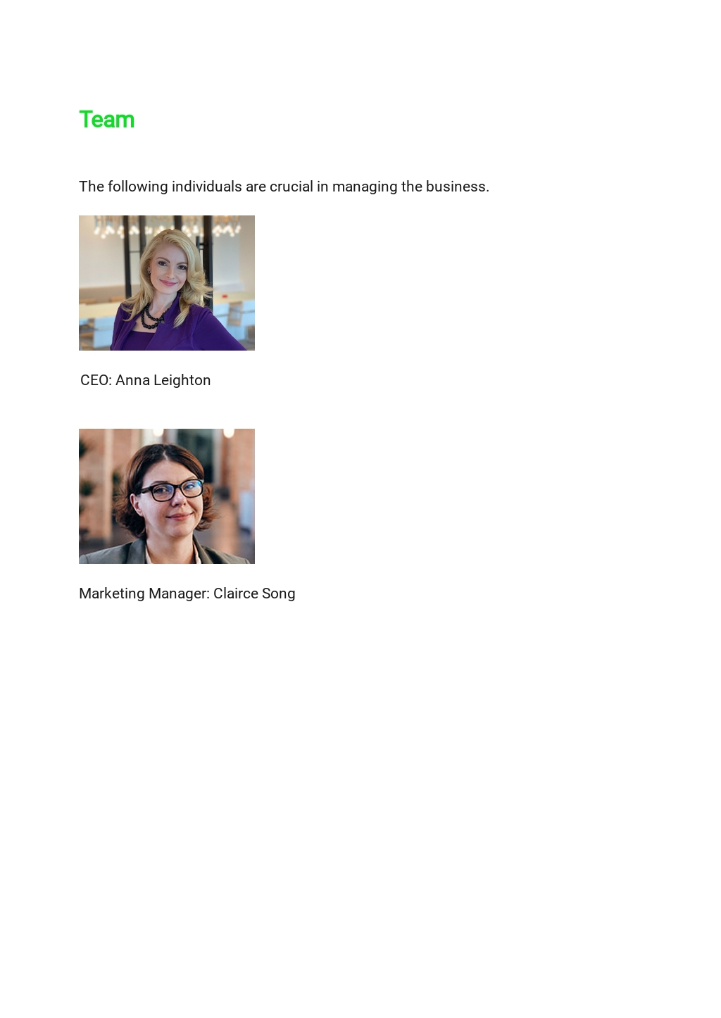 Lawn Care Business Plan Template Free