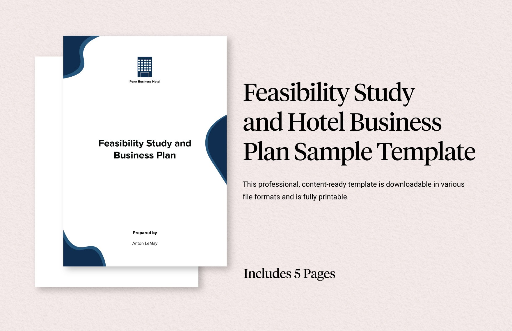 Feasibility Study and Hotel Business Plan Sample Template