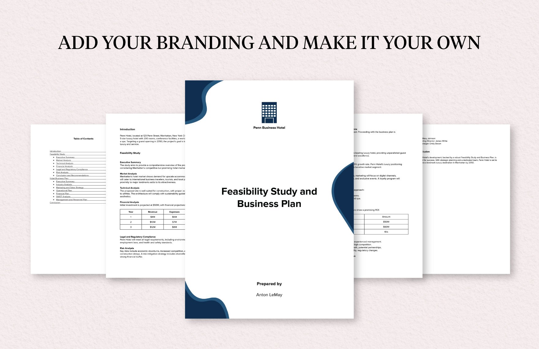 Feasibility Study and Hotel Business Plan Sample Template