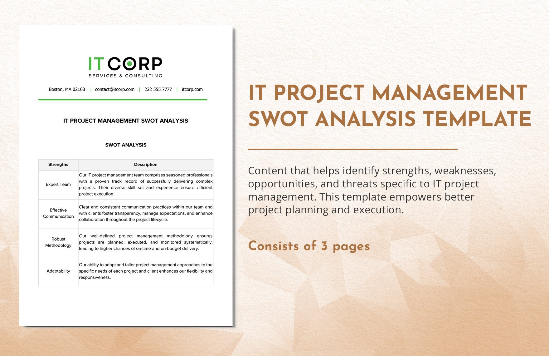 IT Project Management SWOT Analysis Template