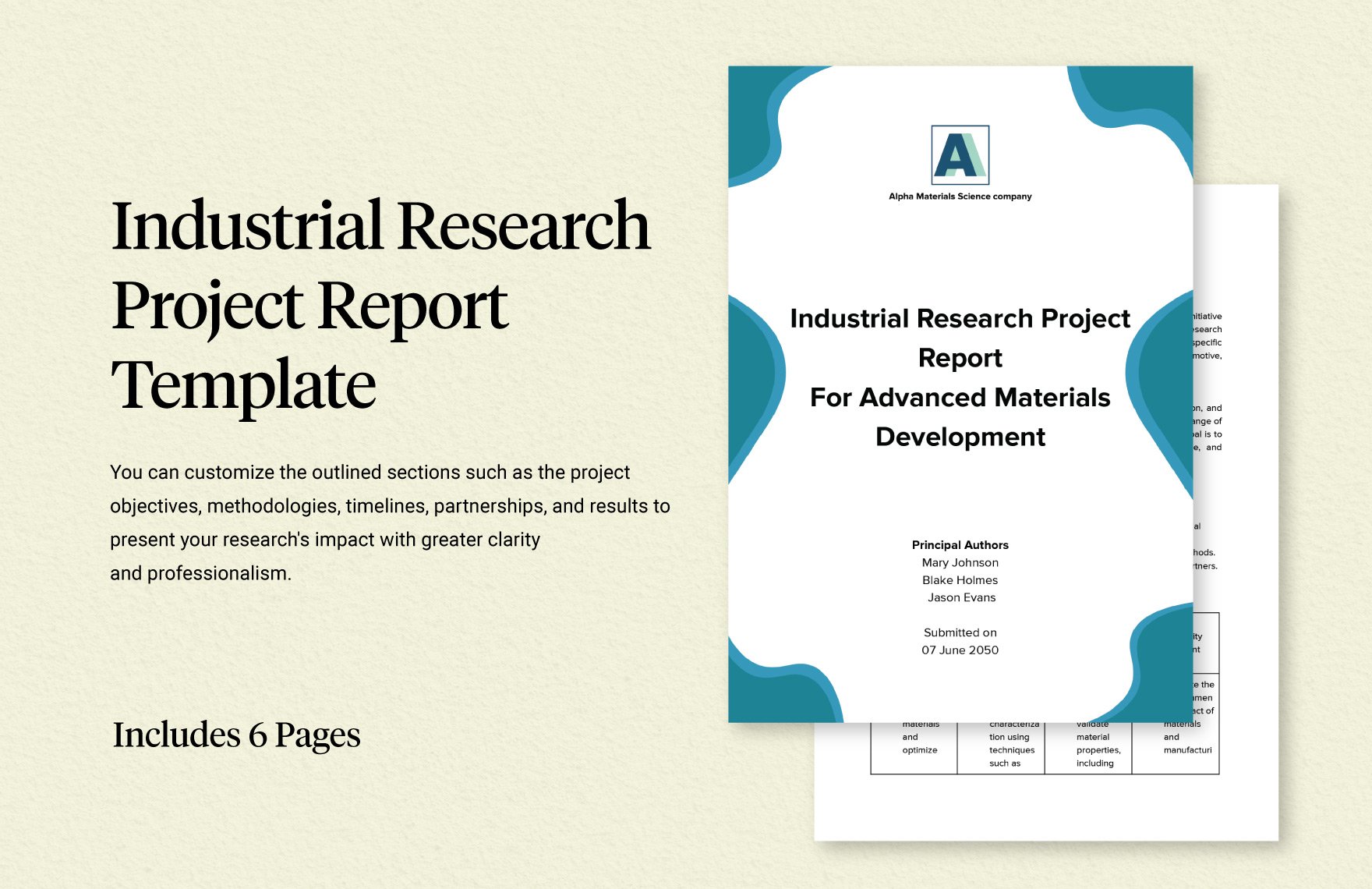 Industrial Research Project Report Template