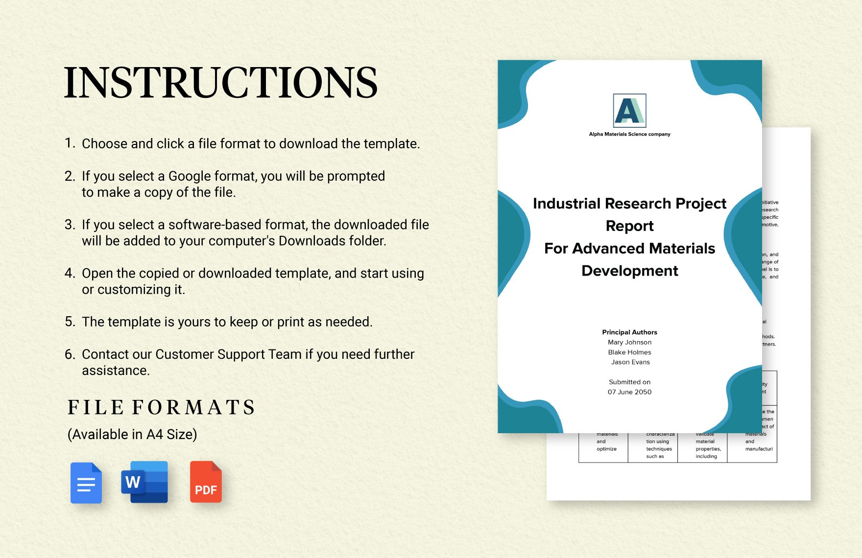 Industrial Research Project Report Template