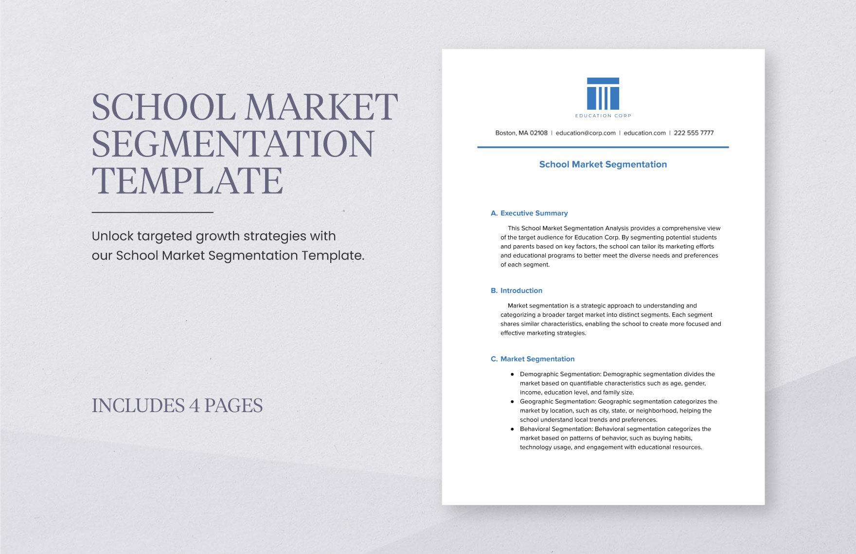 School Market Segmentation Template