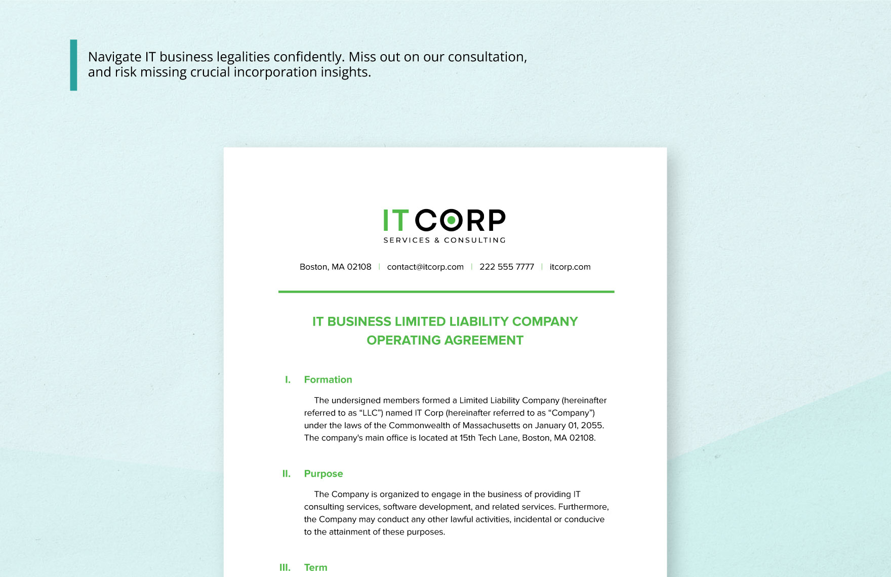 IT Business Limited Liability Company Operating Agreement Template