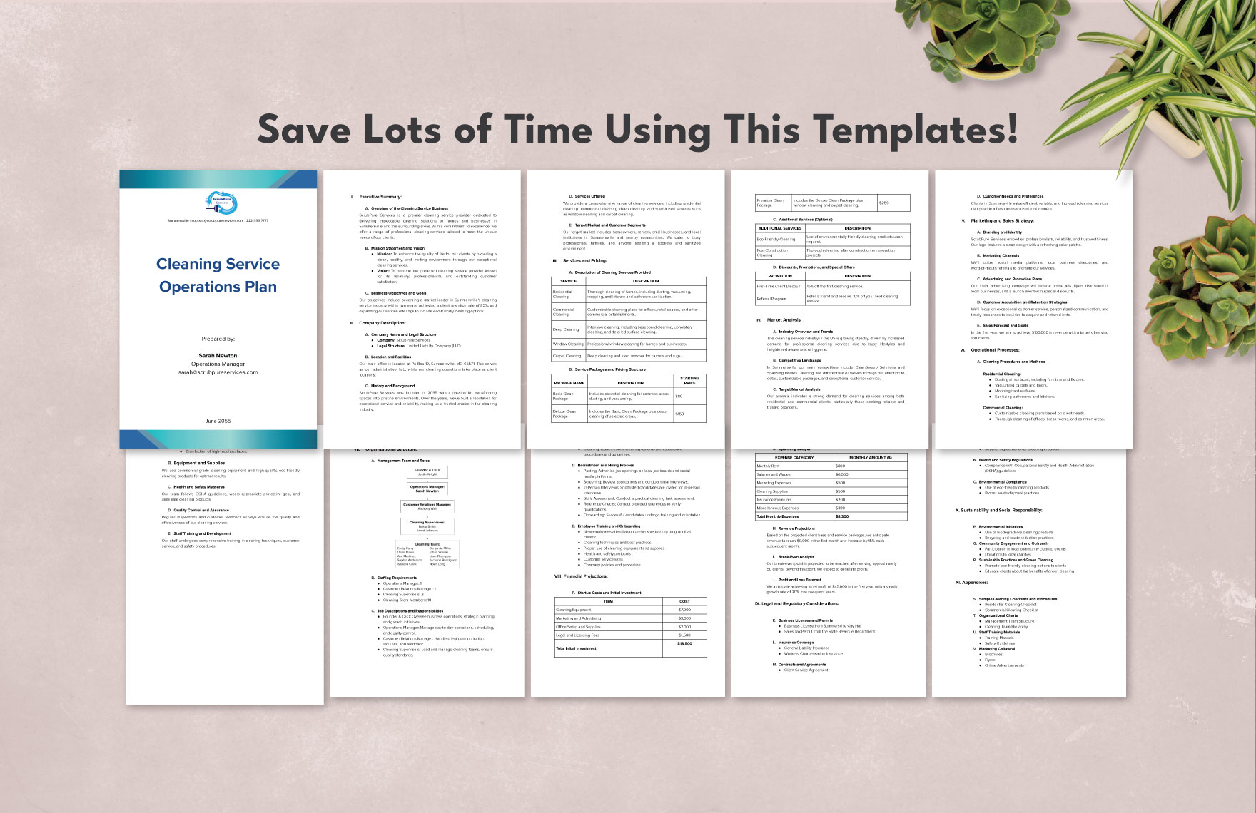 Sample Cleaning Service Operations Plan Template