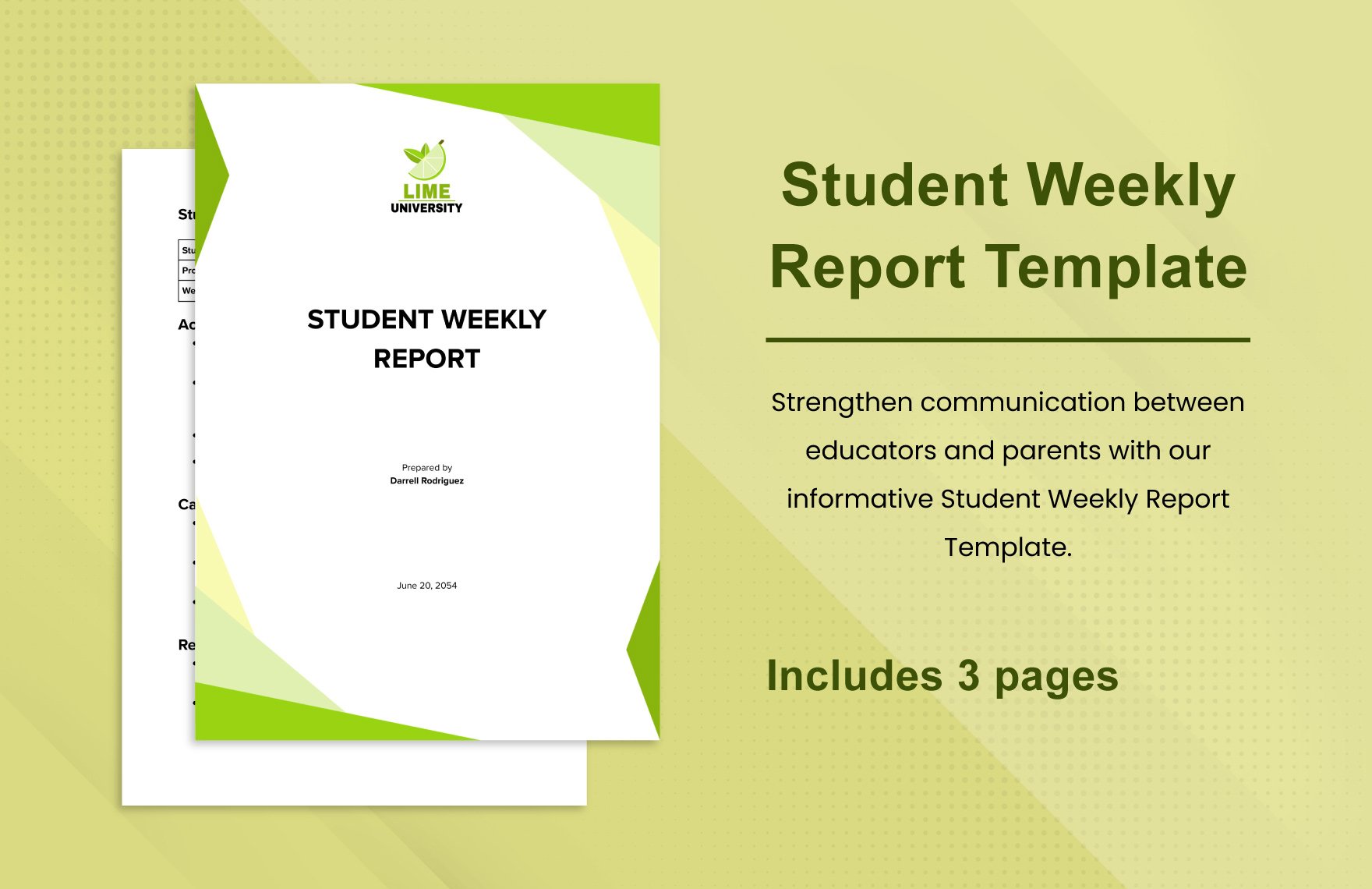 Student Weekly Report Template