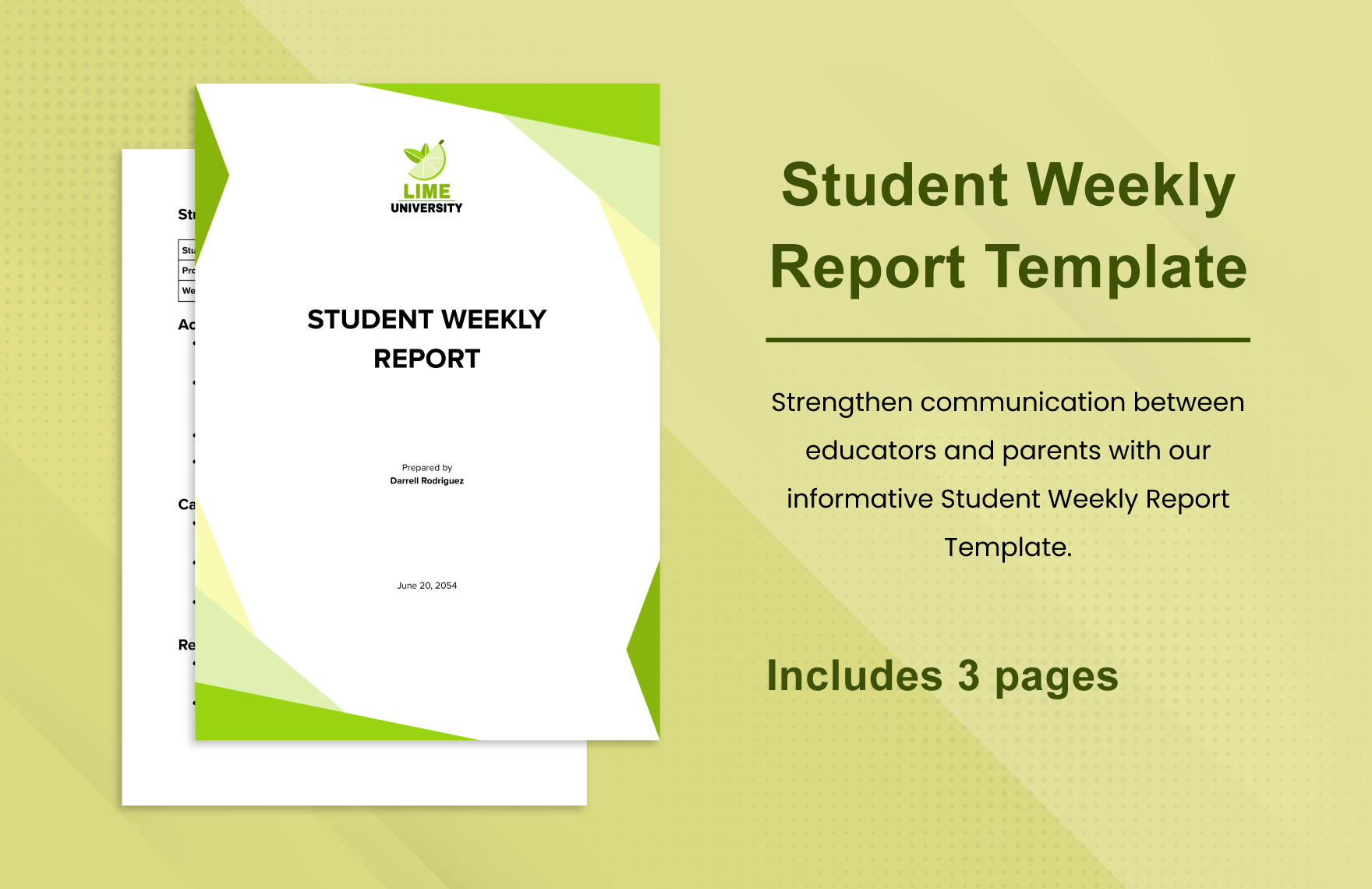 Student Weekly Report Template