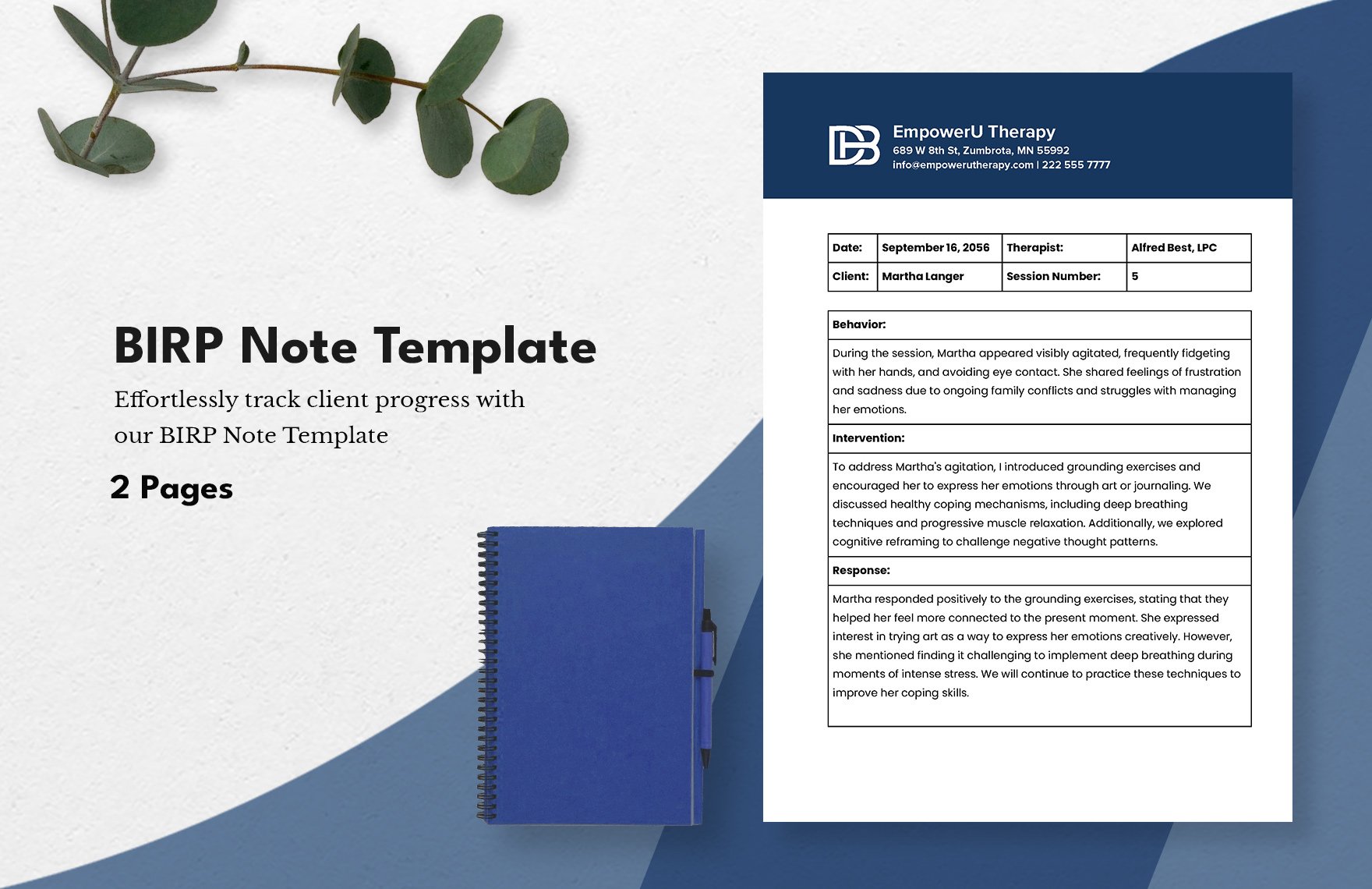 BIRP Note Template in Word, Google Docs, PDF