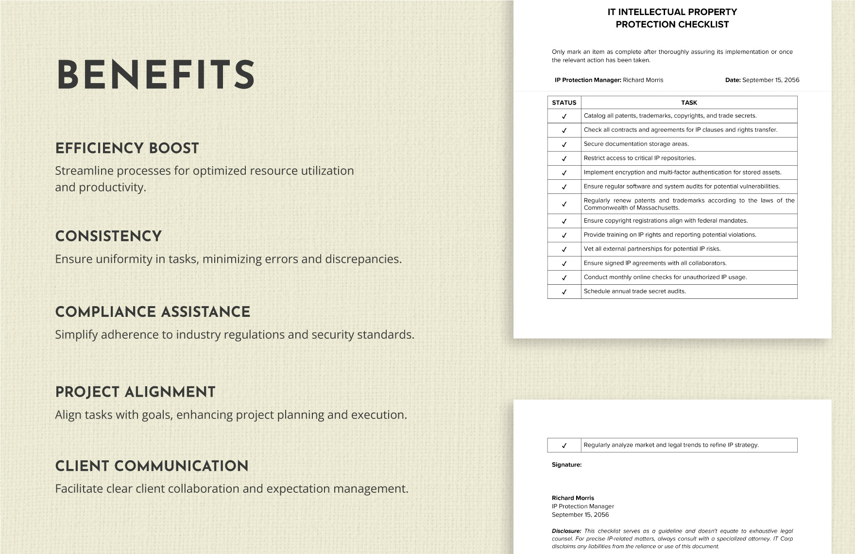 IT Intellectual Property Protection Checklist Template