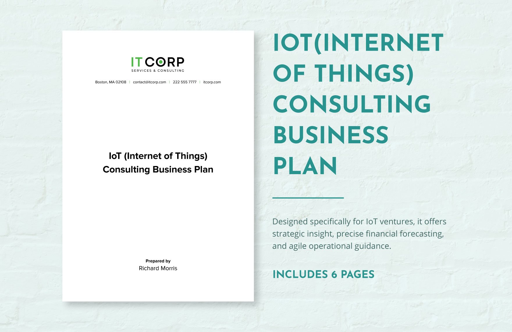 IoT (Internet of Things) Consulting Business Plan Template