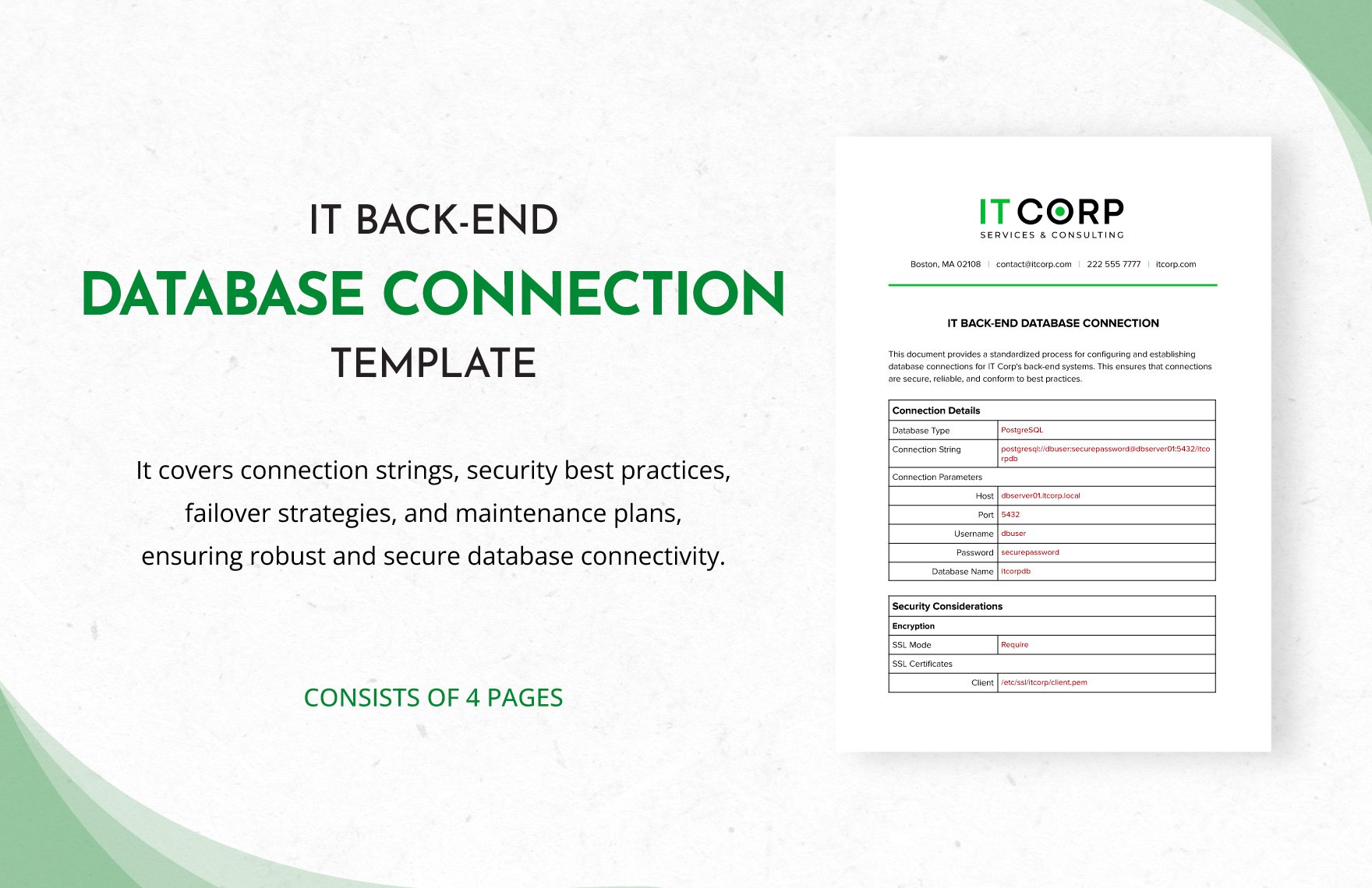 IT Back-End Database Connection Template
