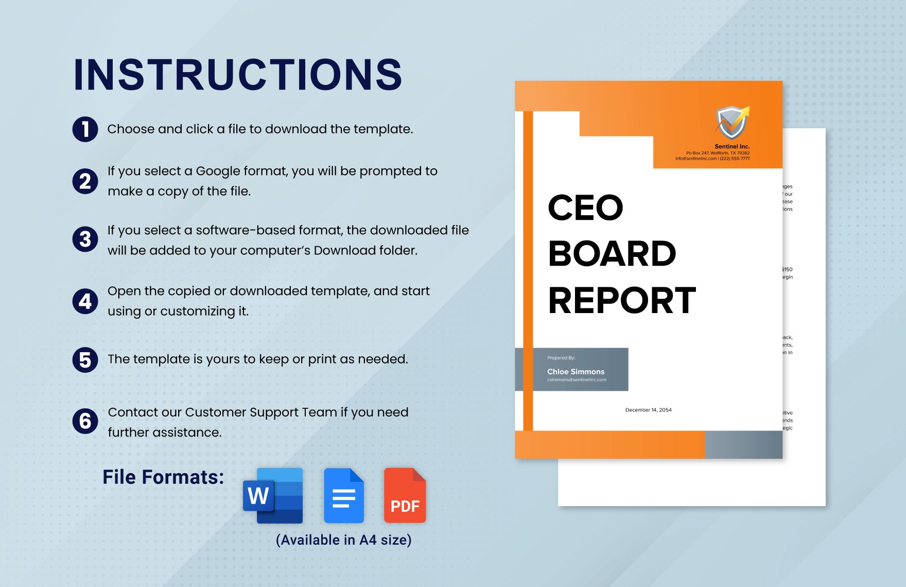 CEO Board Report Template