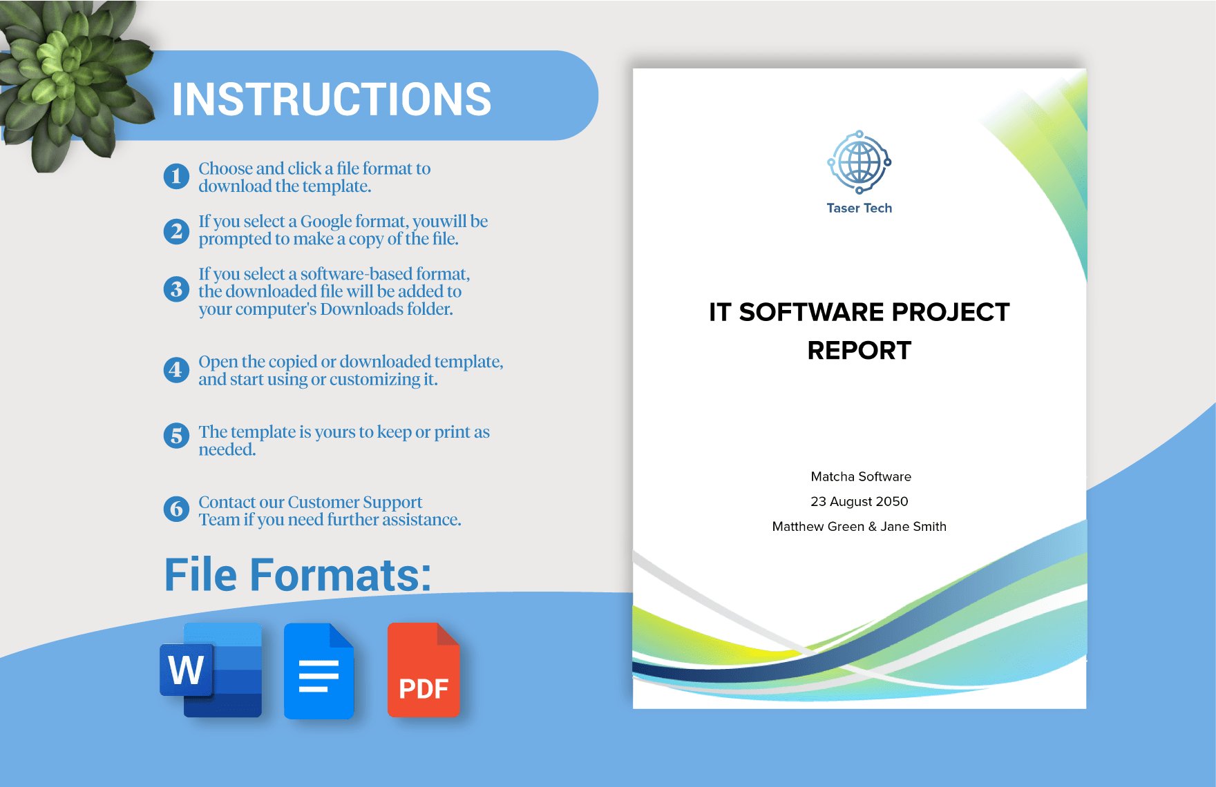 IT Software Project Report Template