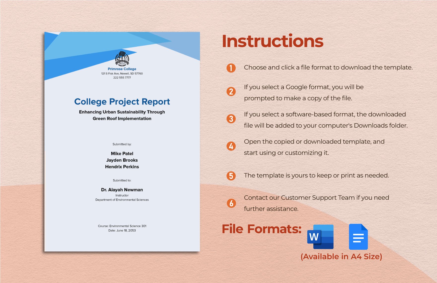 College Project Report Template