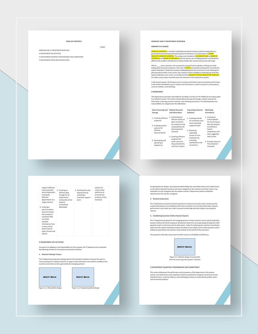 IT Report Template