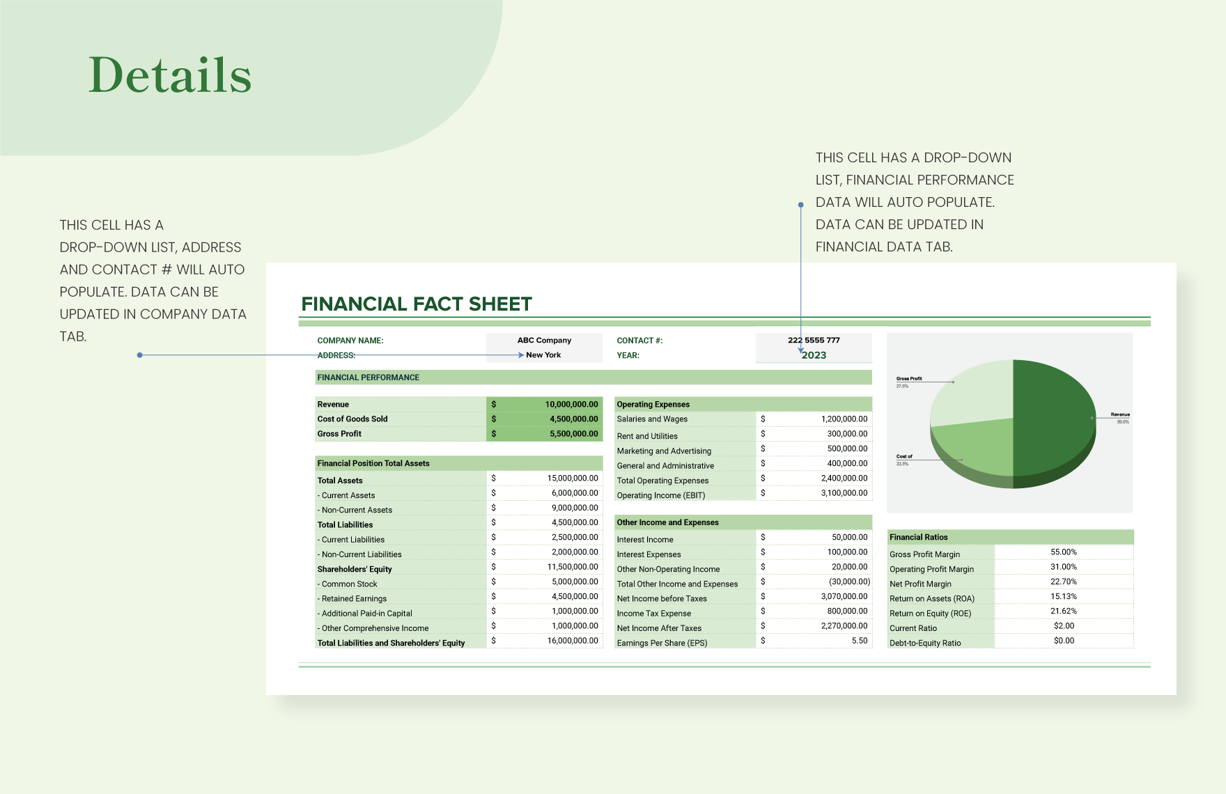 Financial Fact Sheet Template
