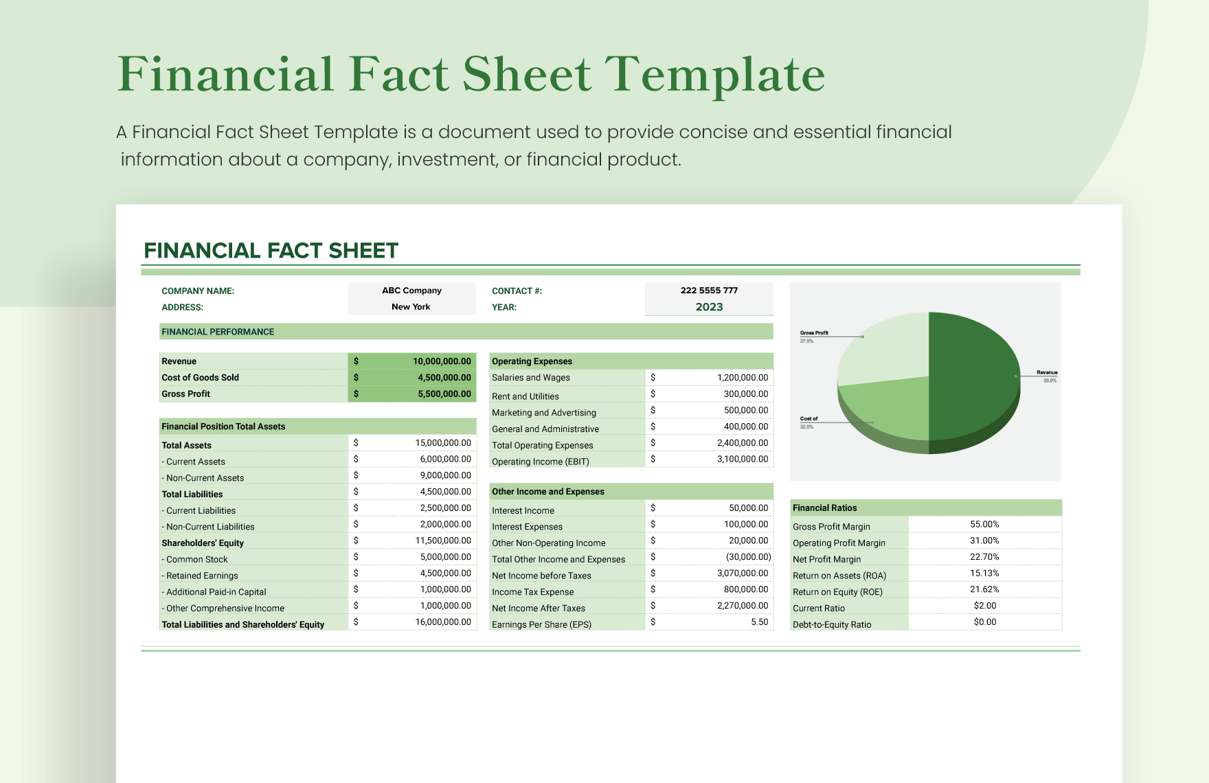 Financial Fact Sheet Template in Excel, Google Sheets