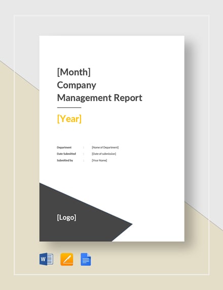 company monthly management report