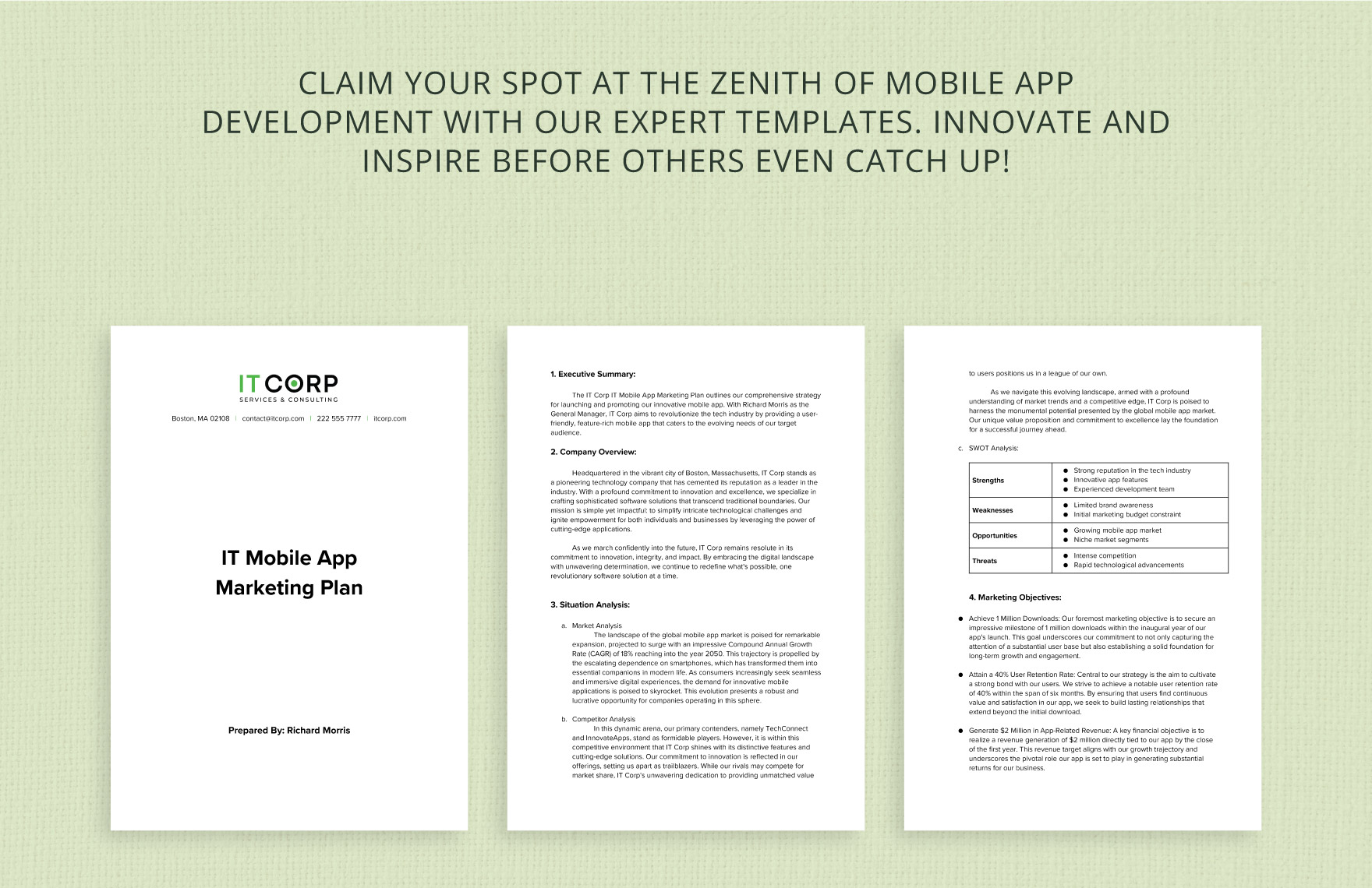 IT Mobile App Marketing Plan Template