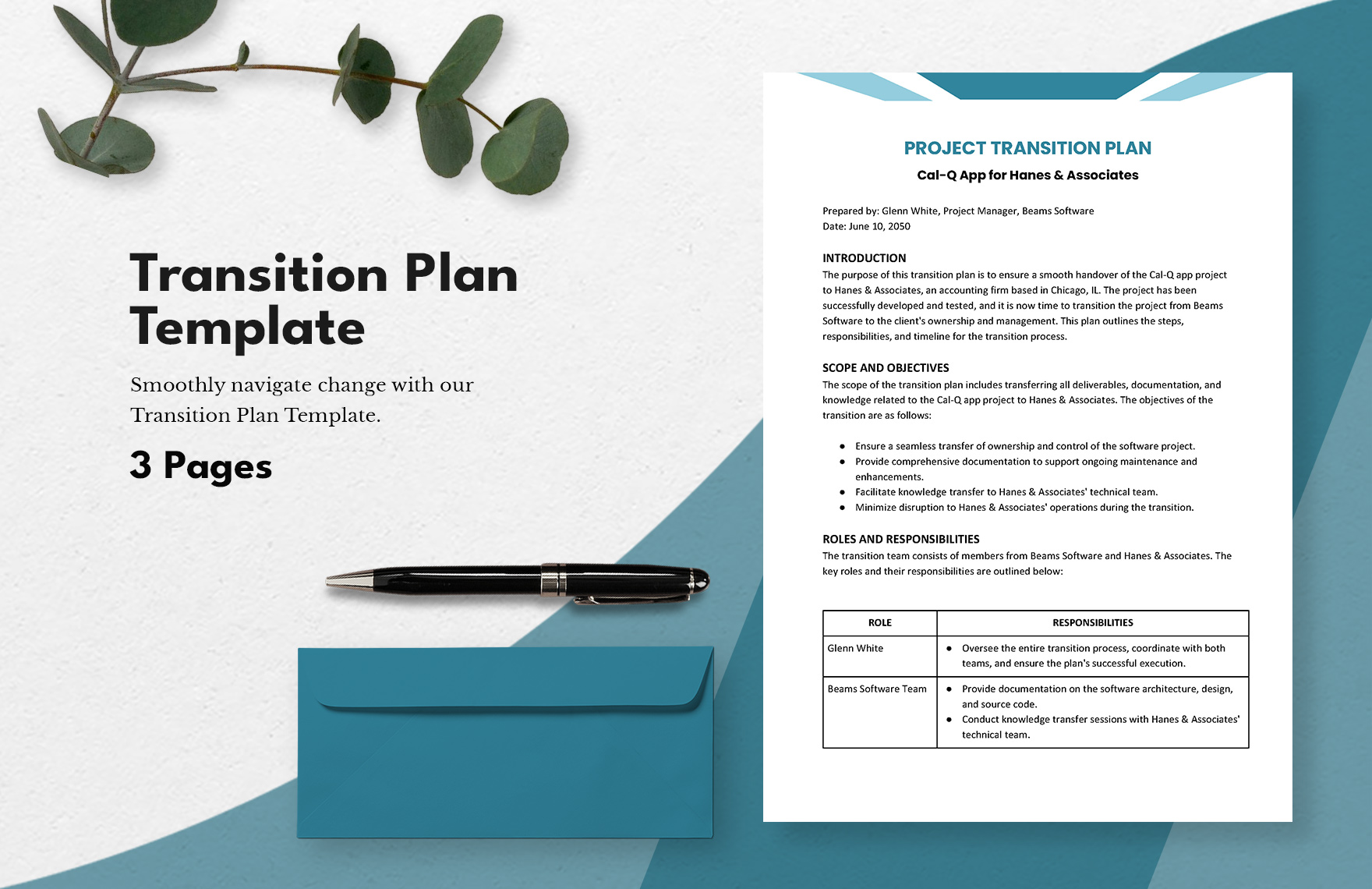 Editable Transition Plan Templates In PDF To Download
