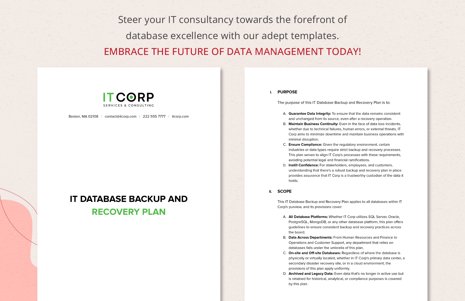 IT Database Backup and Recovery Plan Template