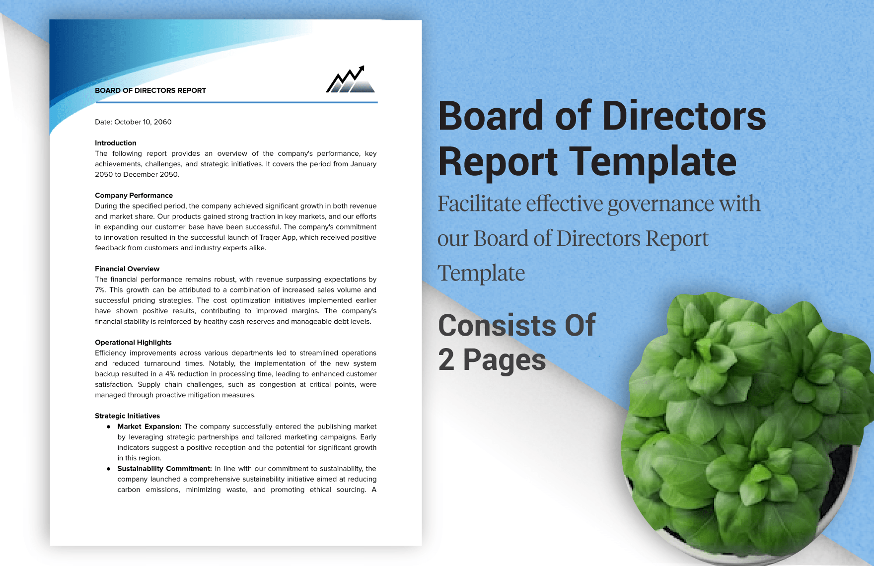Board of Directors Report Template