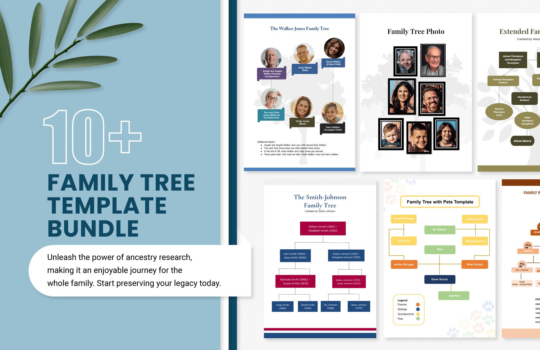 10+ Family Tree Template Bundle