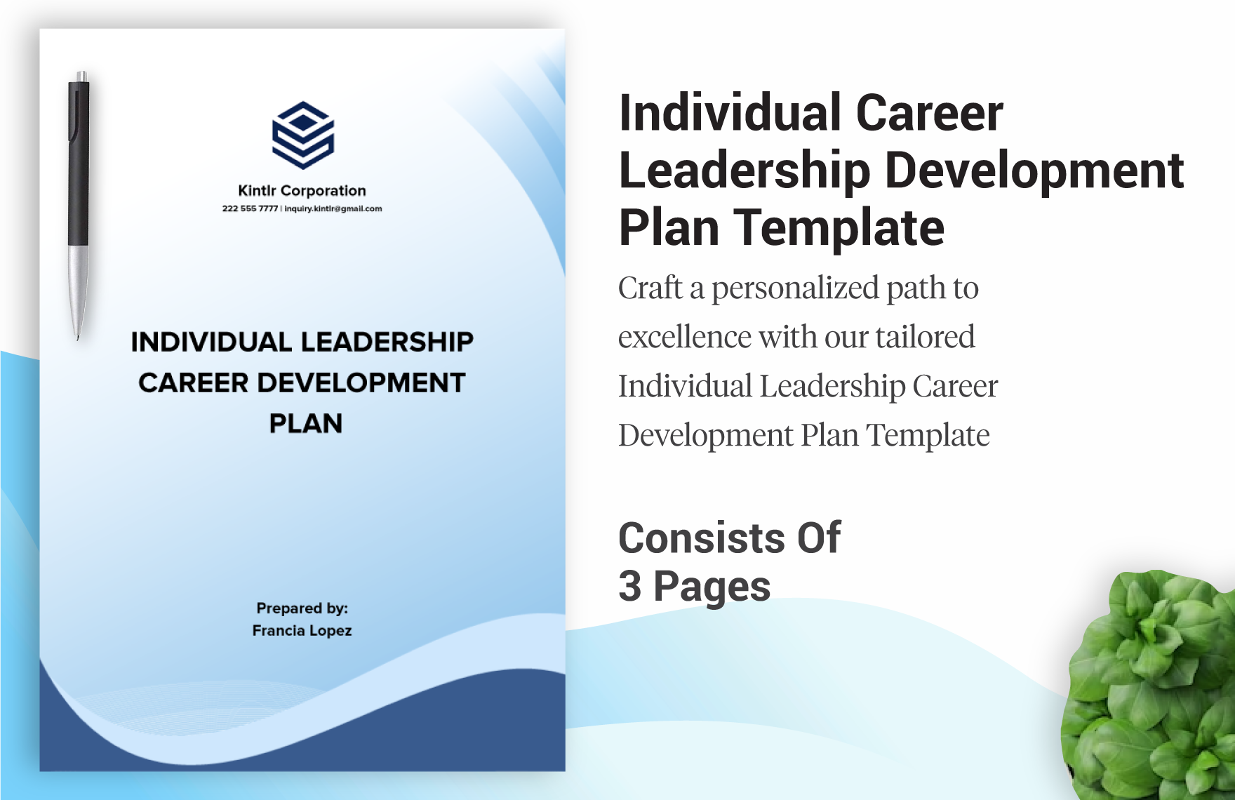 Individual Career Leadership Development Plan Template