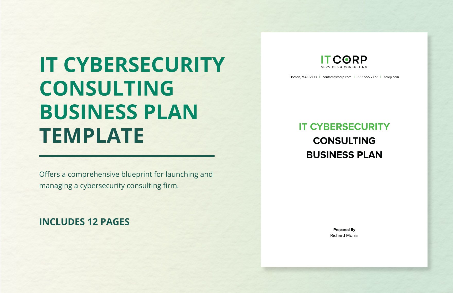 IT Cybersecurity Consulting Business Plan Template