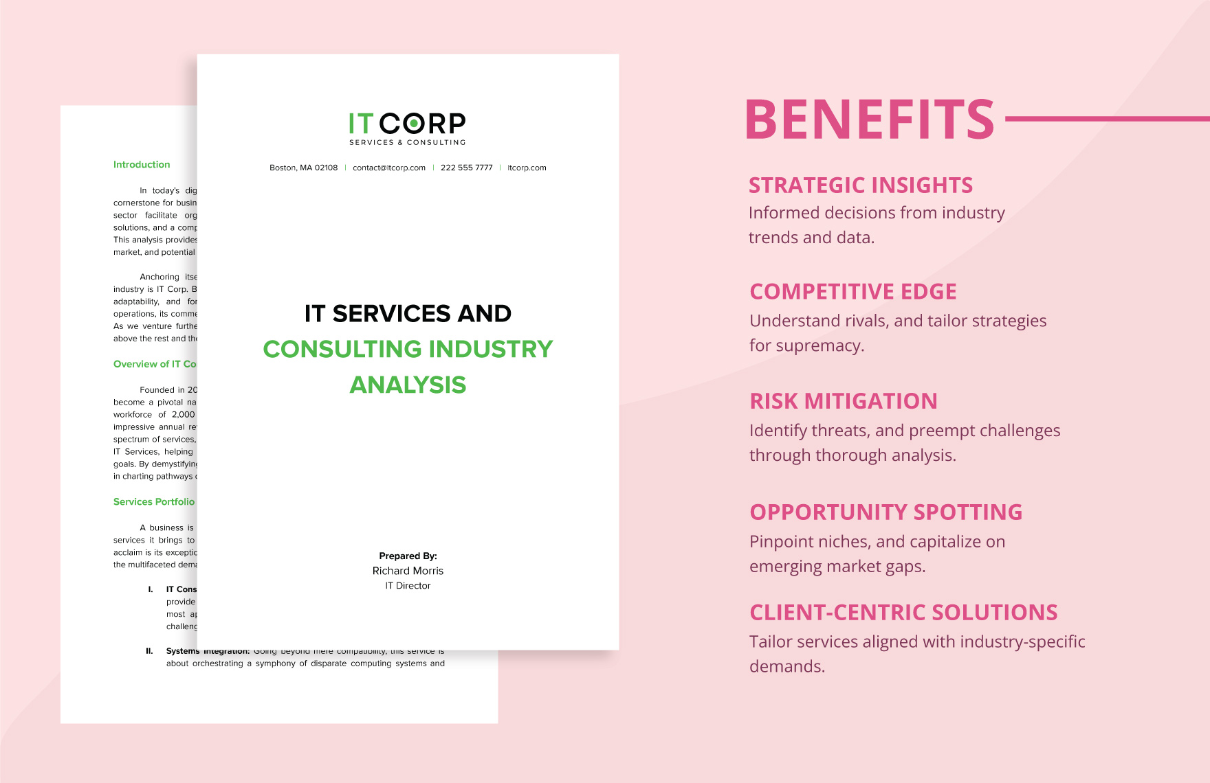 IT Services & Consulting Industry Analysis Template