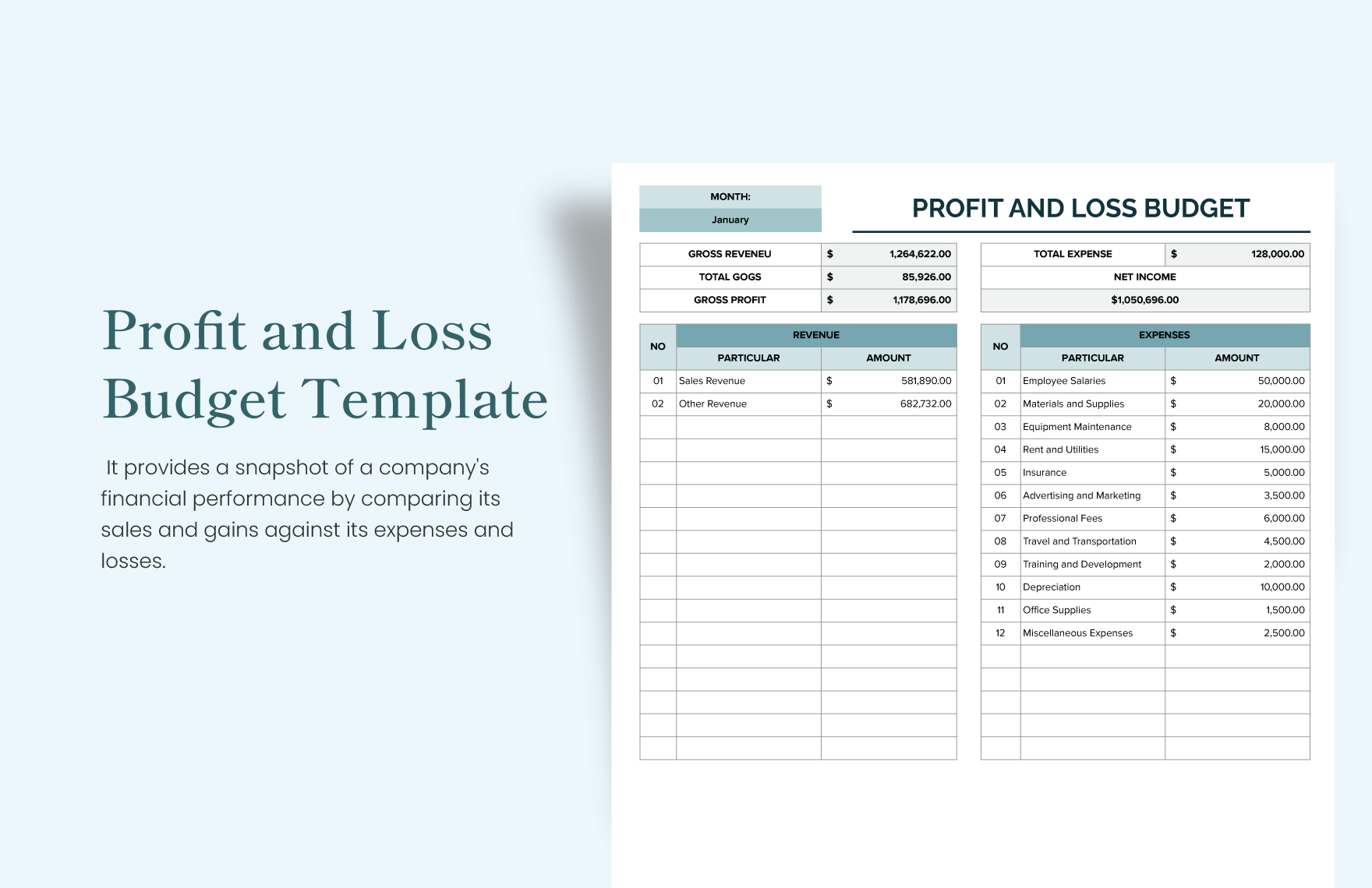 Profit and Loss Budget Template