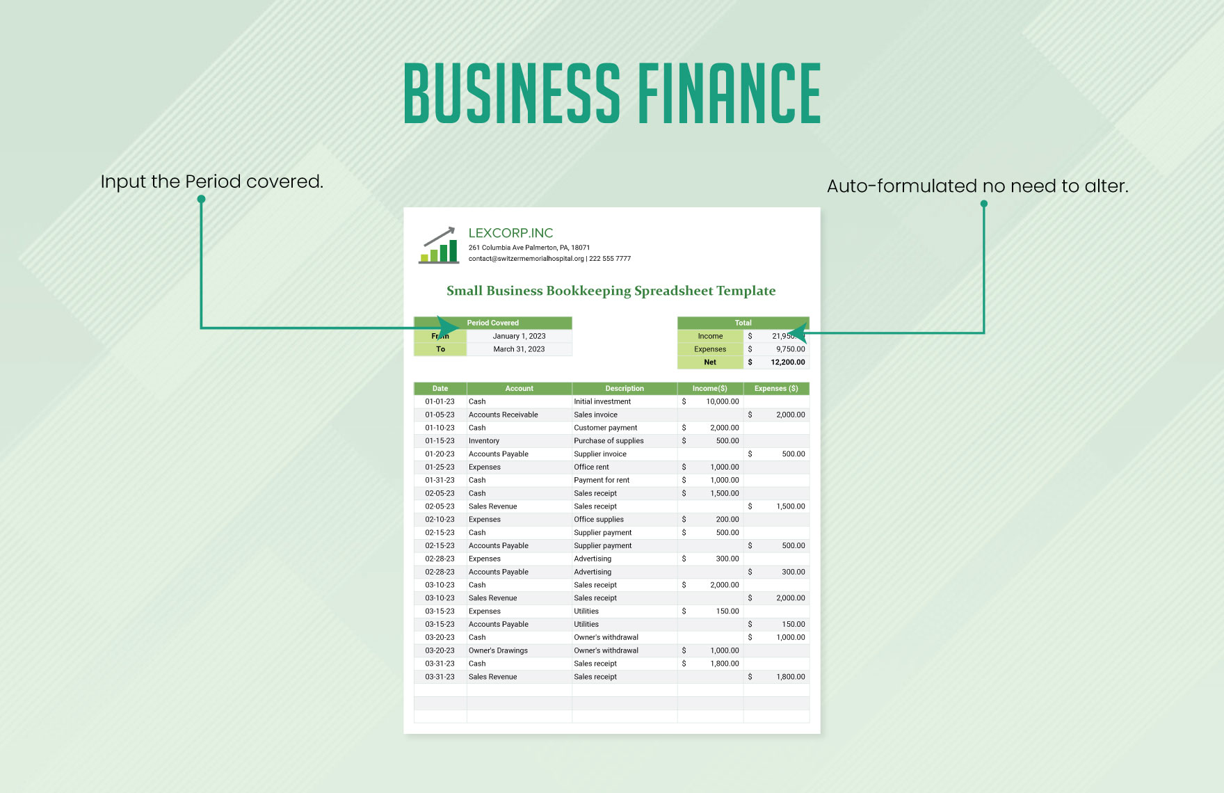 Business Finance Template