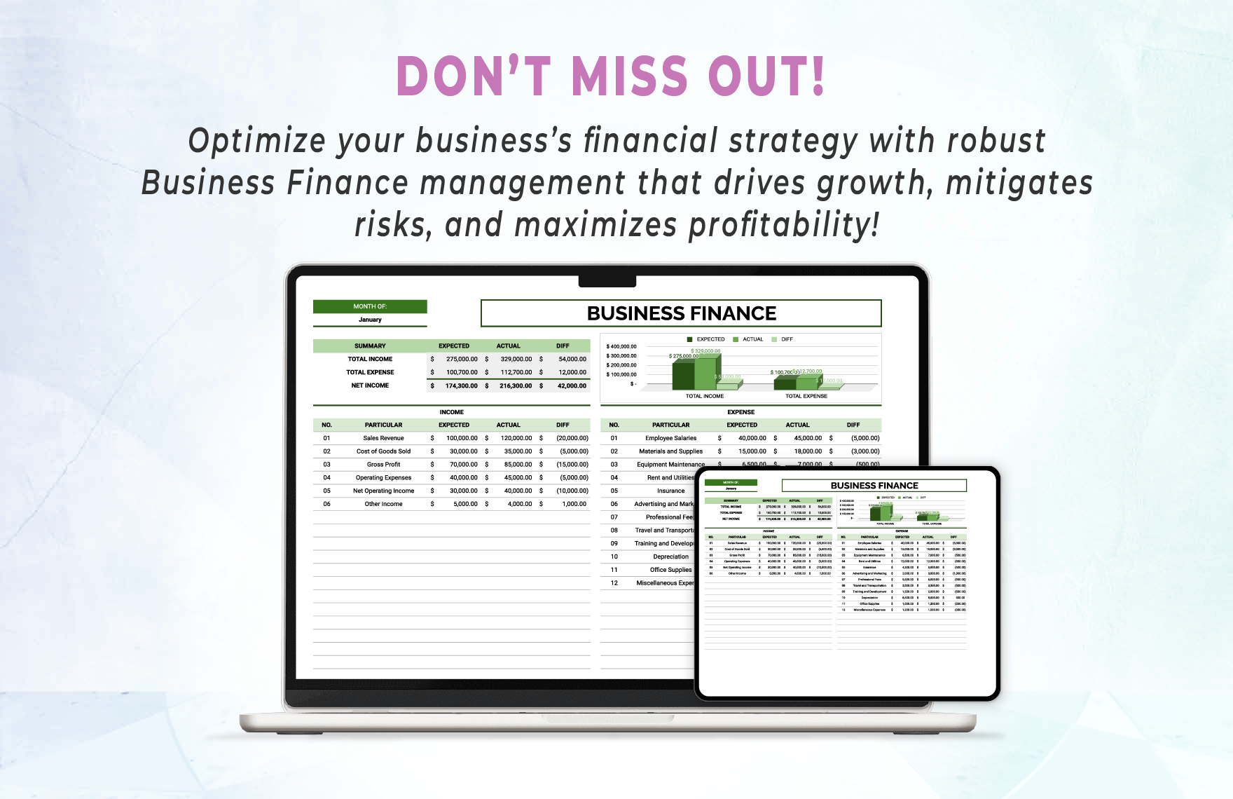 Business Finance Template
