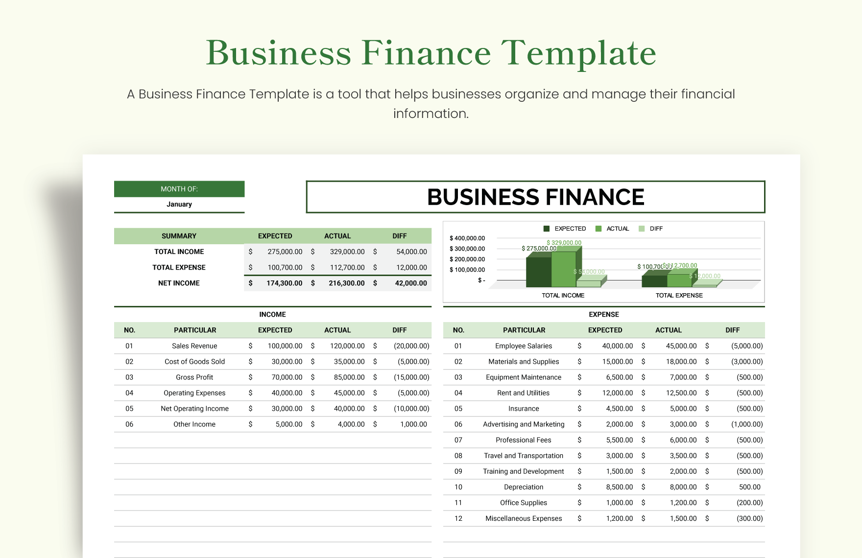 Business Finance Template