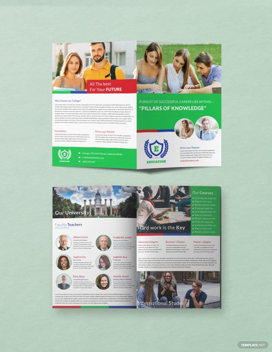 Education A3 Bi-Fold Brochure Template