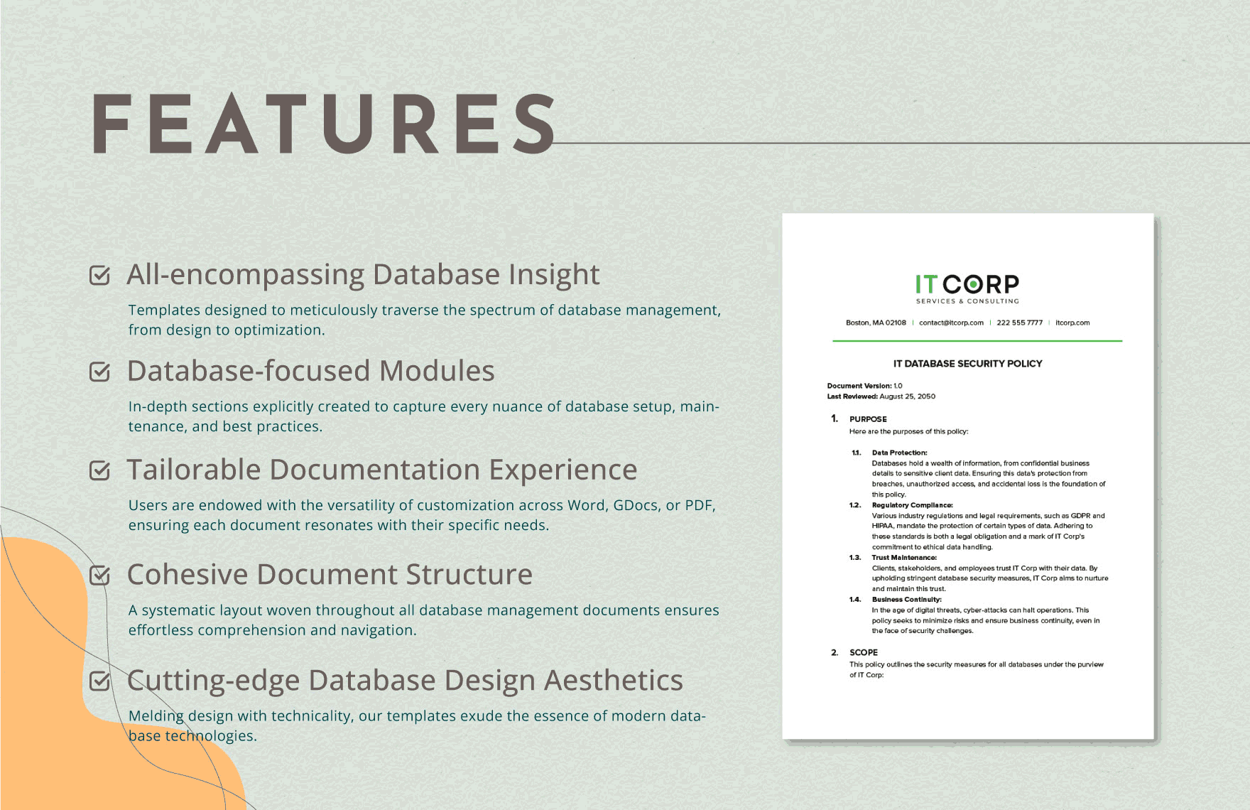 IT Database Security Policy Template