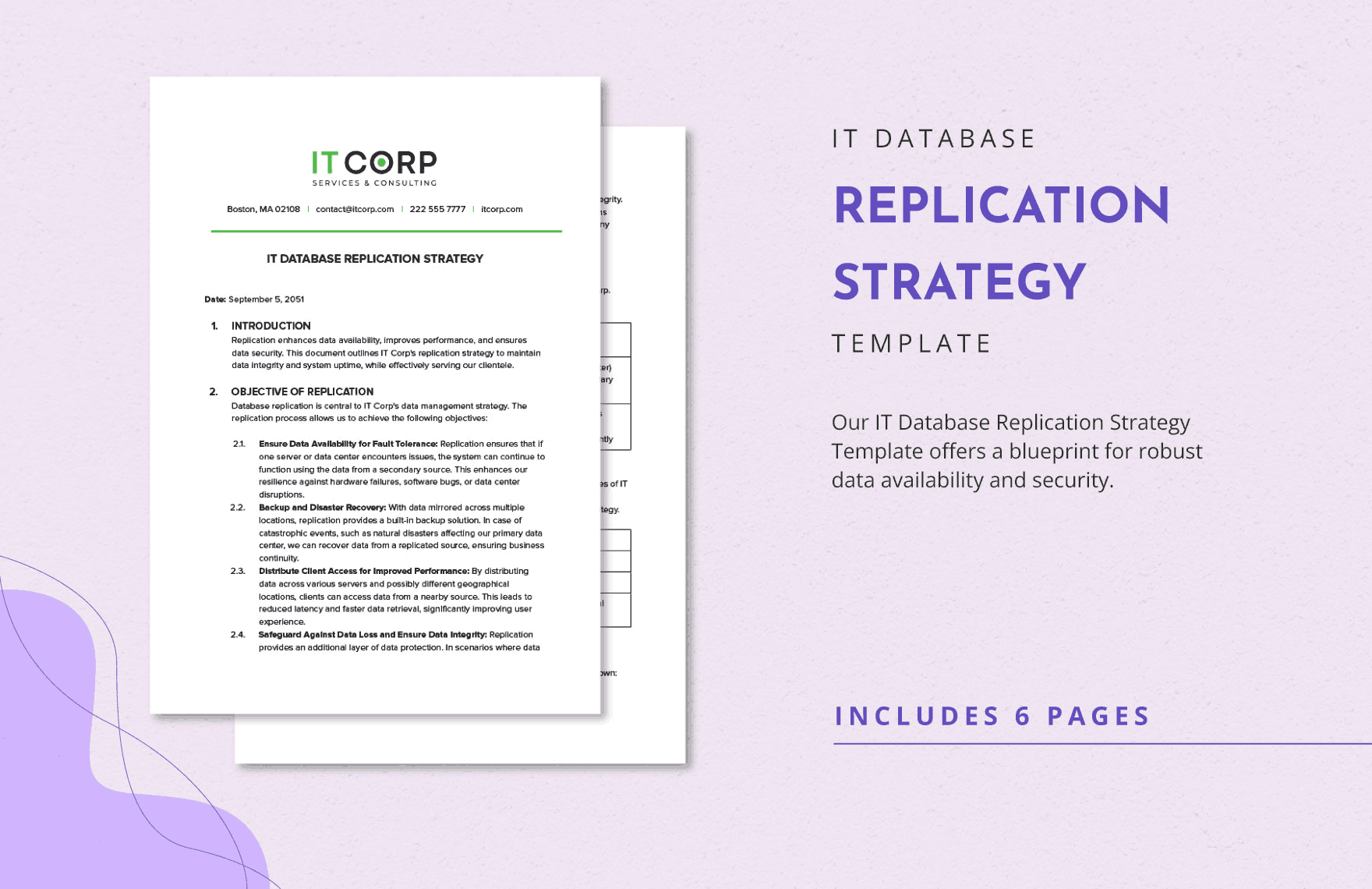 IT Database Replication Strategy Template