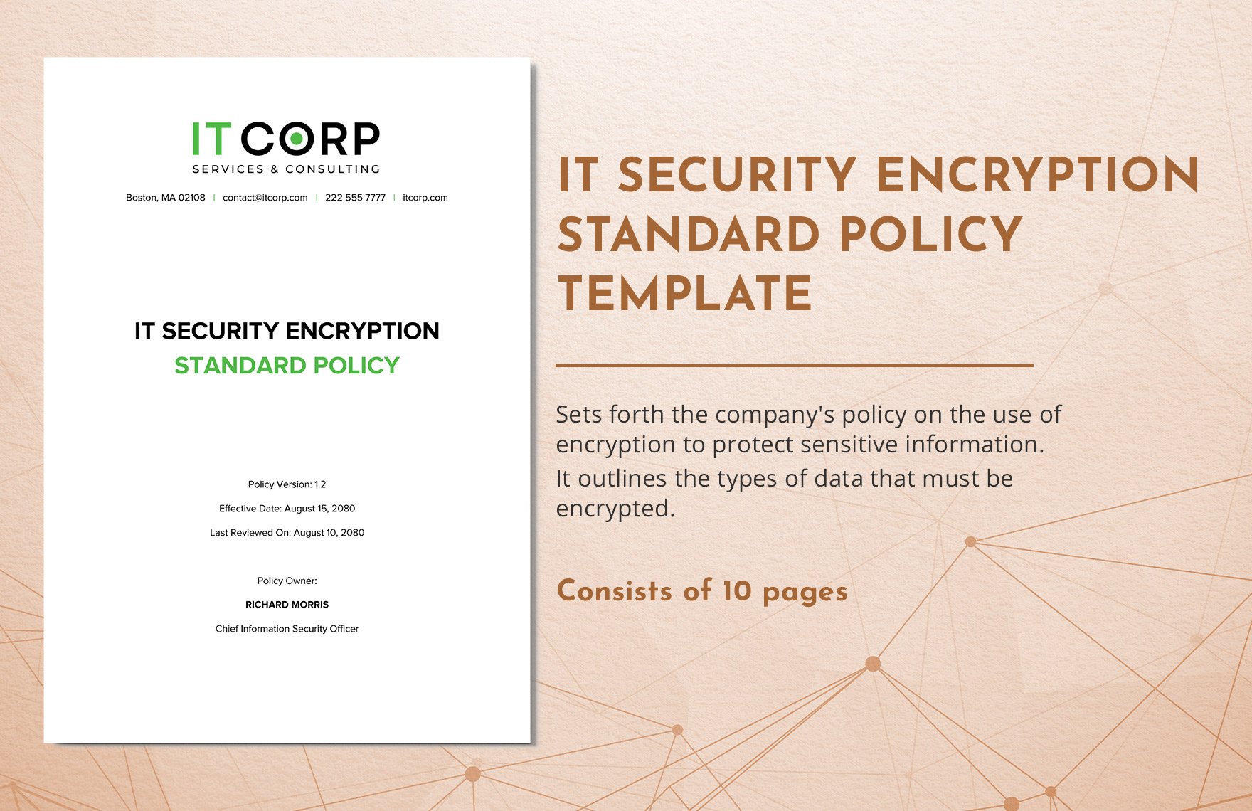 IT Security Encryption Standard Policy Template