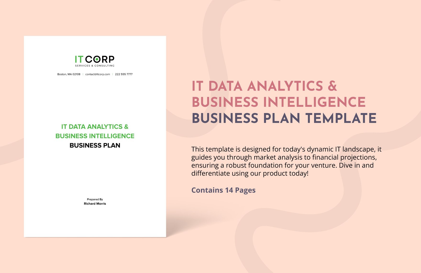 IT Data Analytics & Business Intelligence Business Plan Template