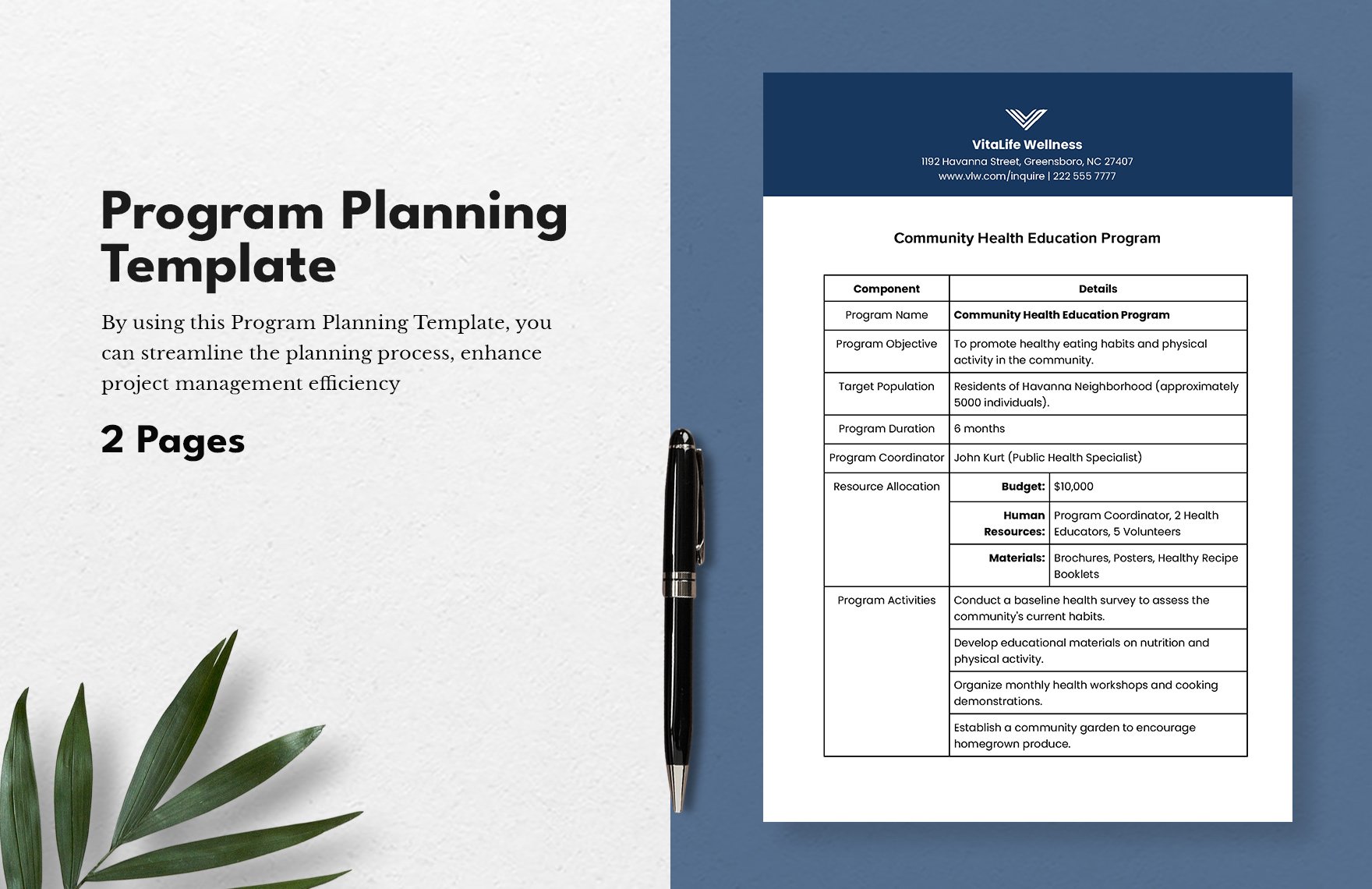 Program Planning Template 