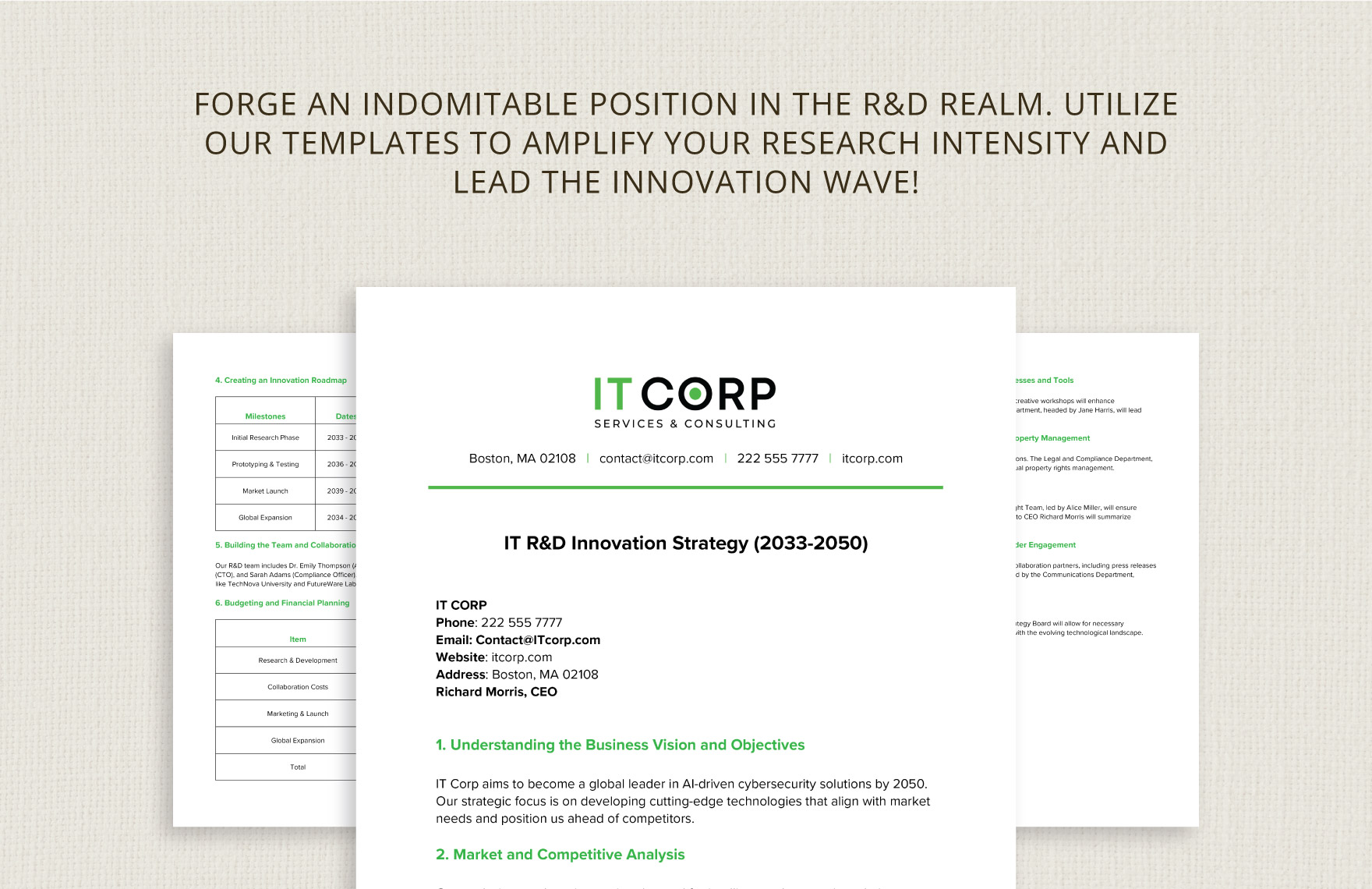 IT R&D Innovation Strategy Template