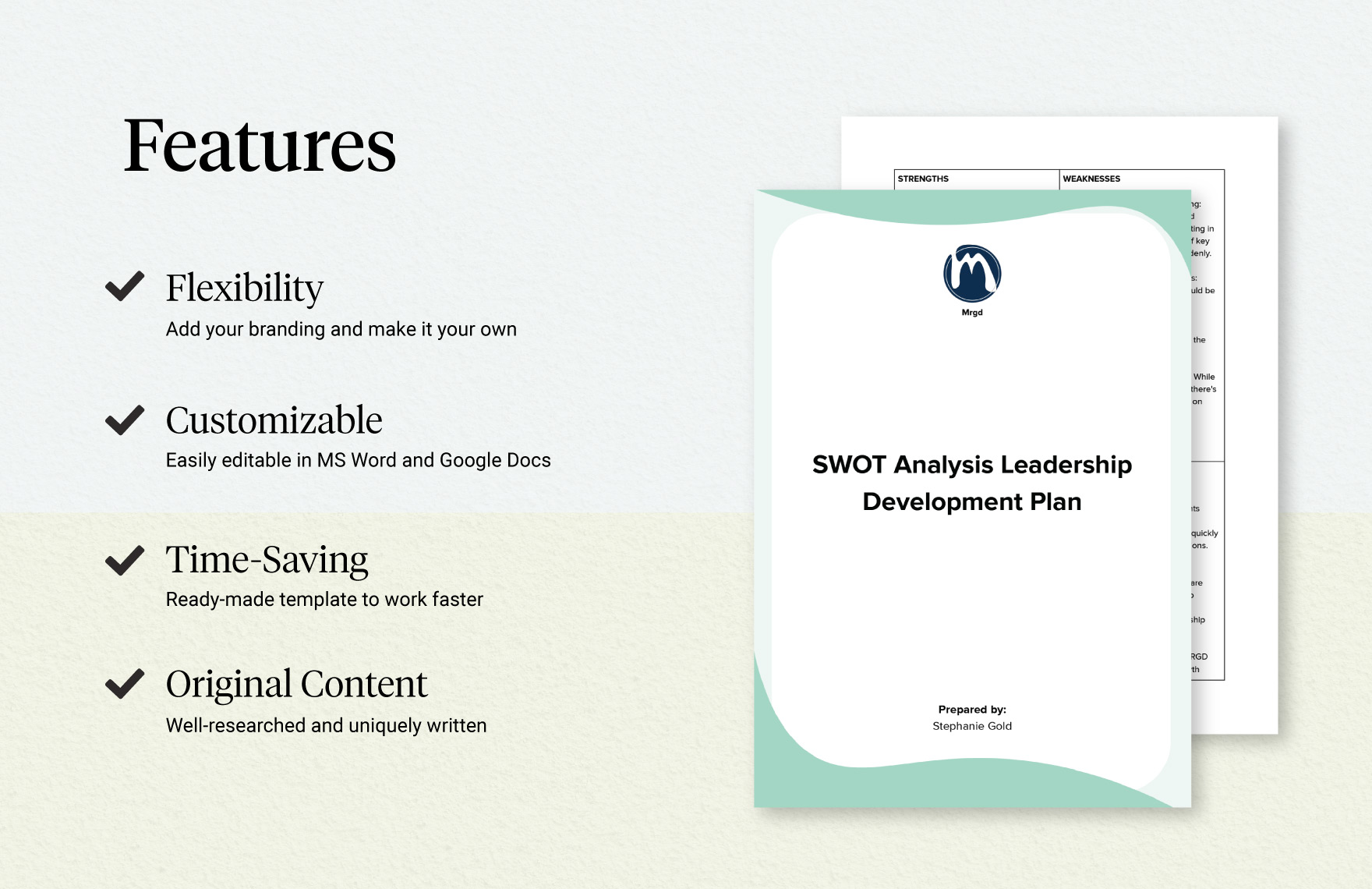 SWOT Analysis Leadership Development Plan Template