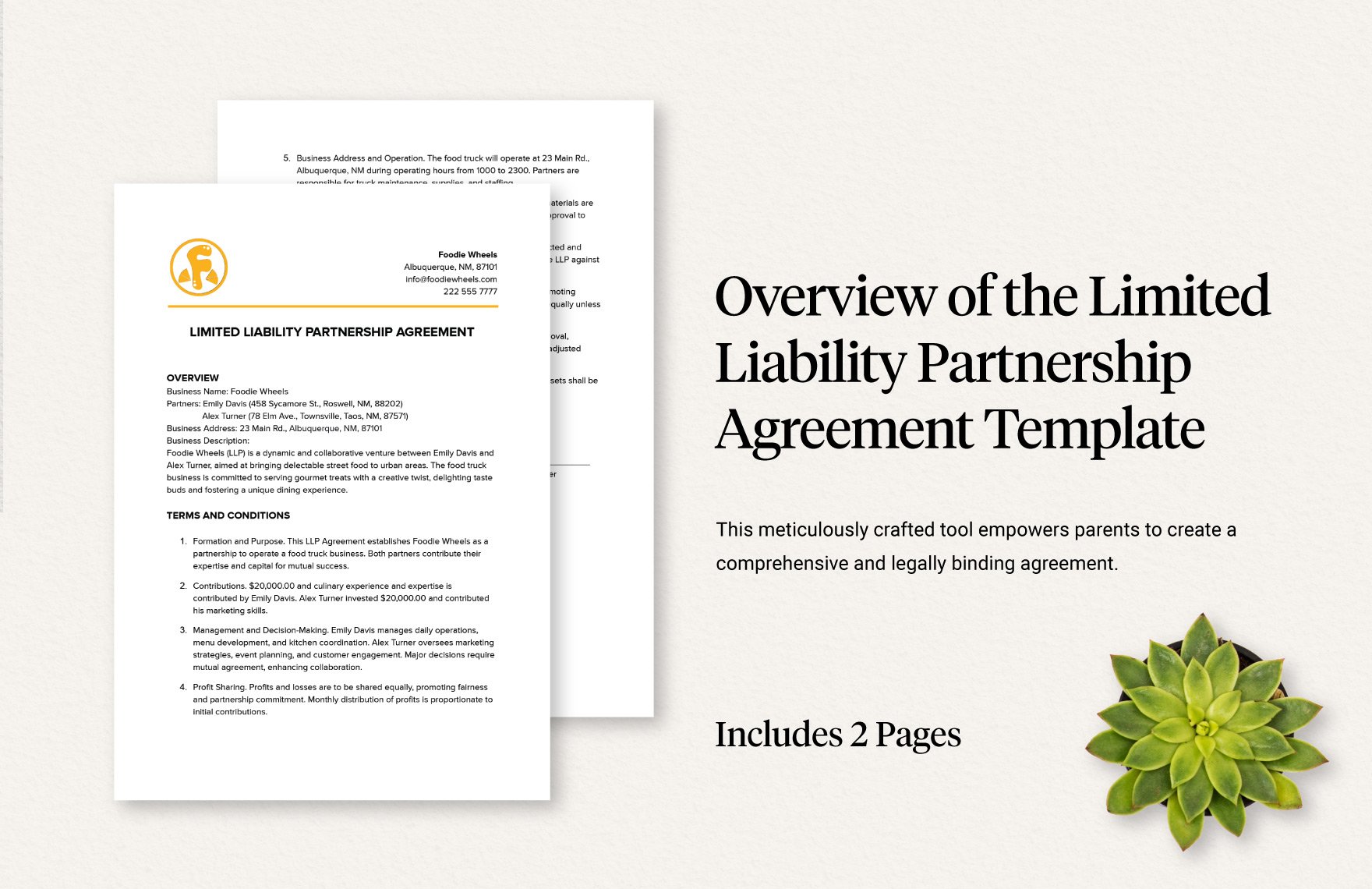 Overview of the Limited Liability Partnership Agreement Template