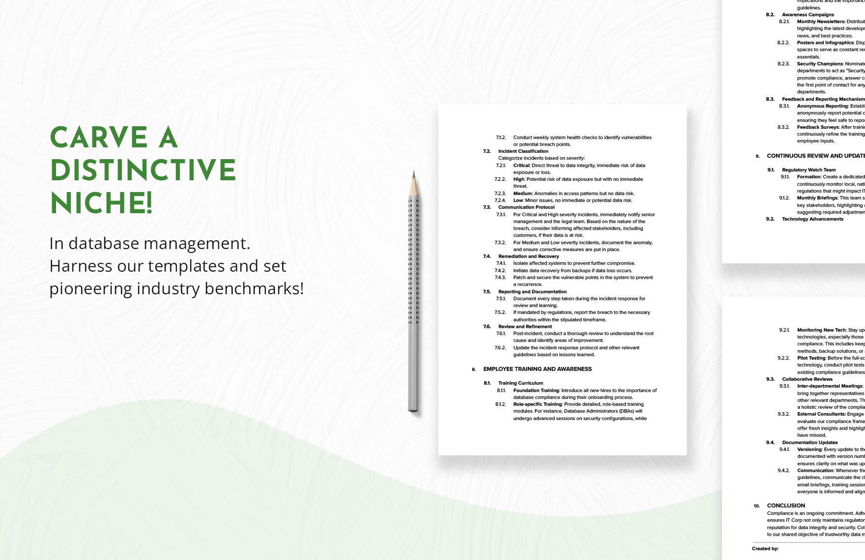 IT Database Compliance Guidelines Template