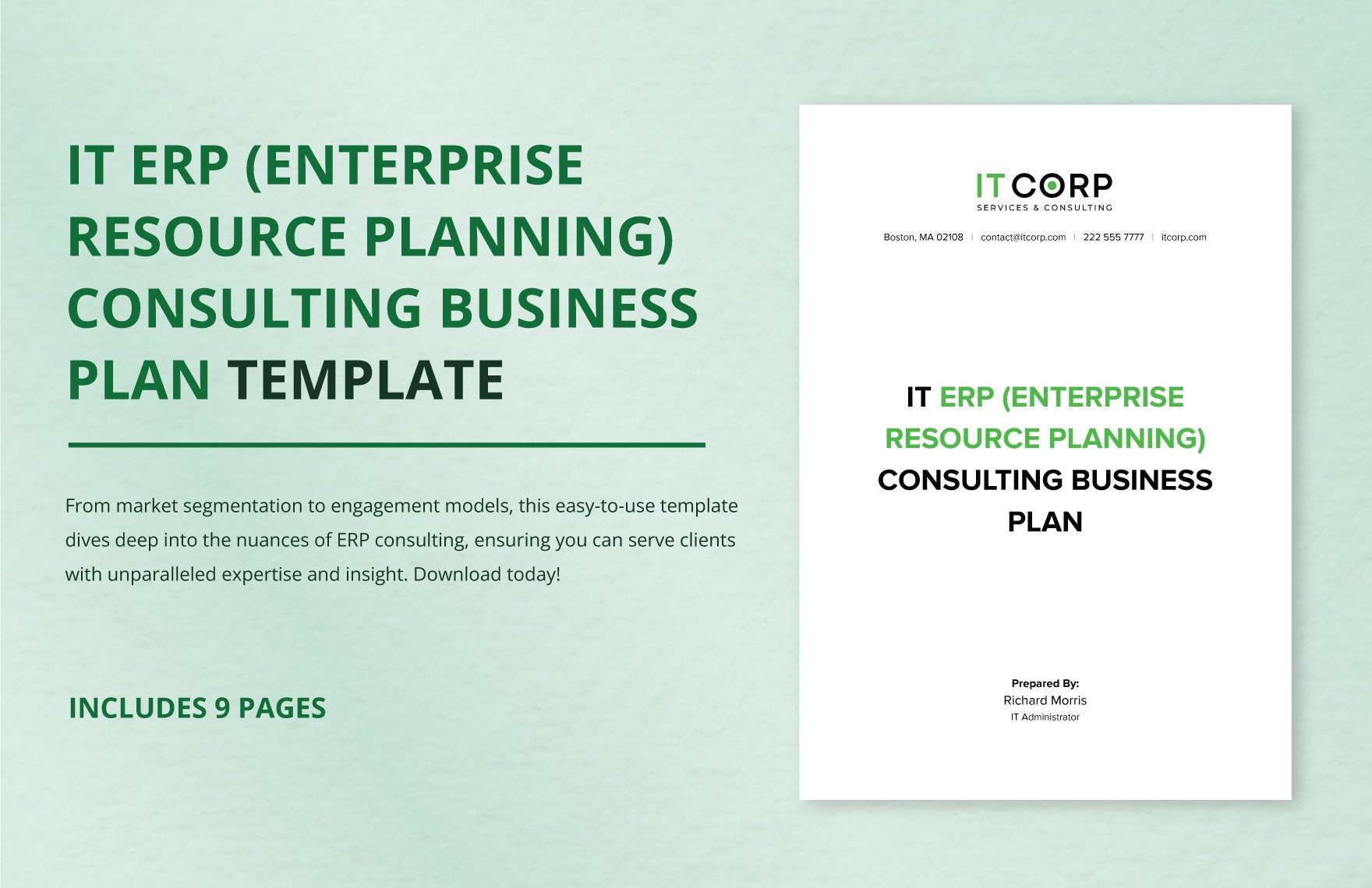 IT ERP (Enterprise Resource Planning) Consulting Business Plan Template